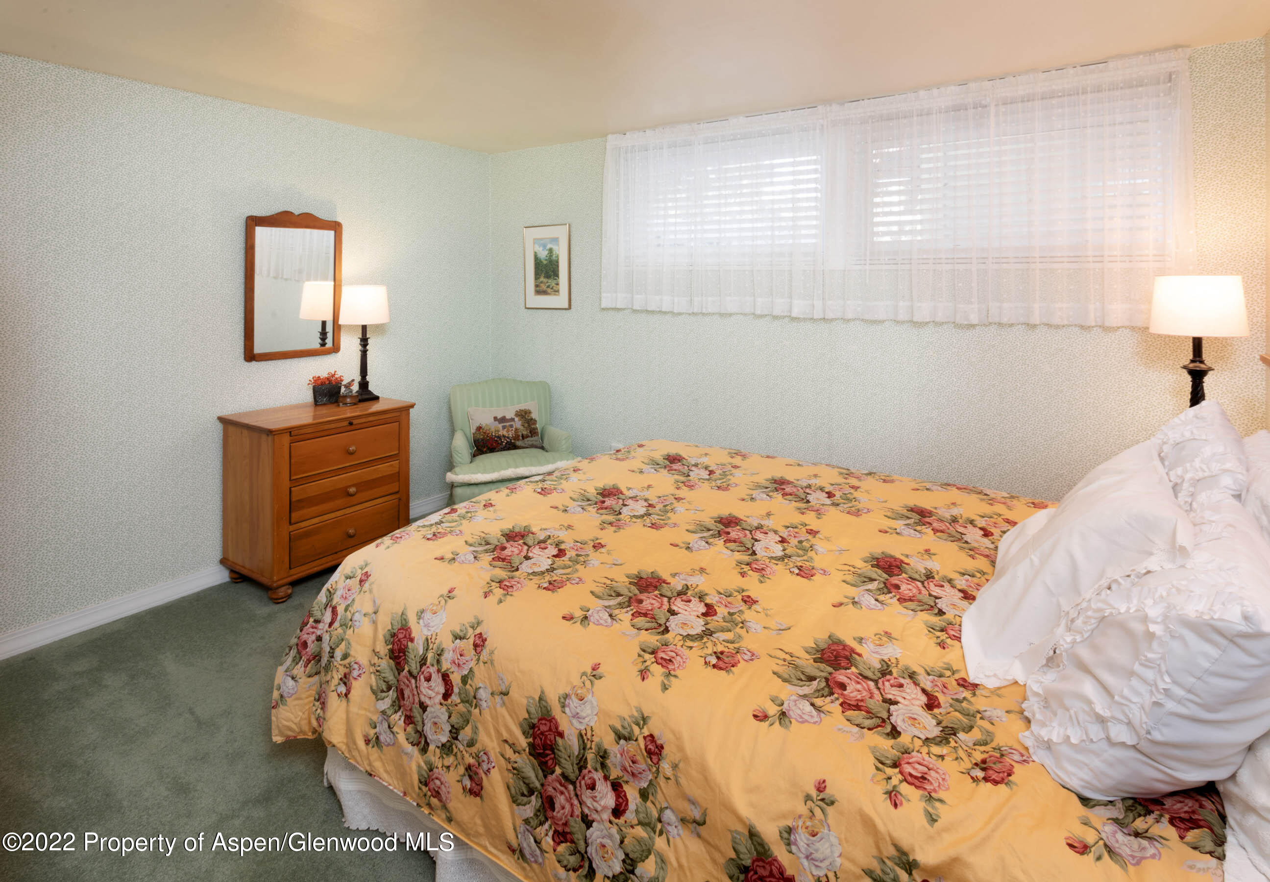 611 Fred Lane Aspen CO 81611