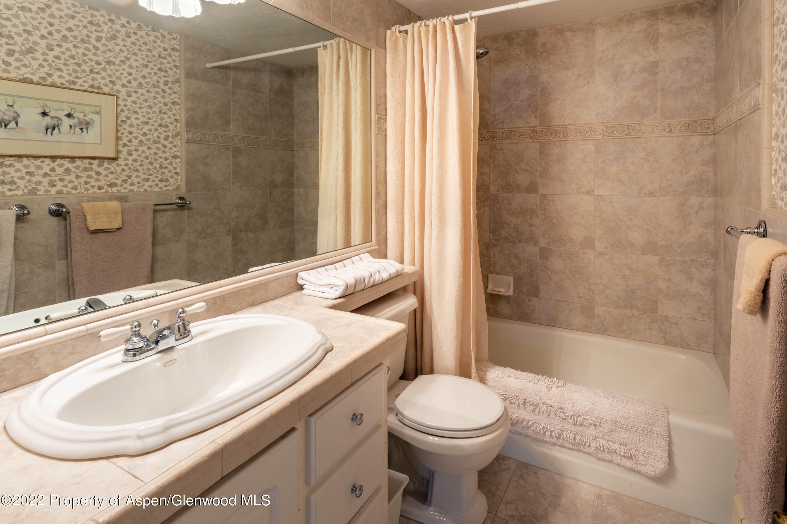 611 Fred Lane Aspen CO 81611