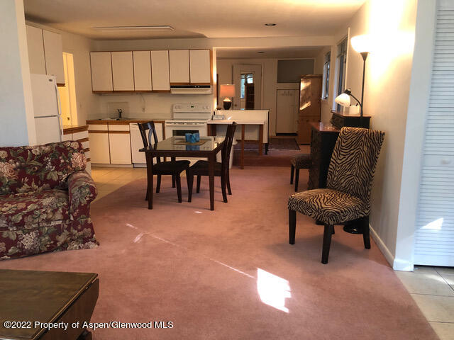 611 Fred Lane Aspen CO 81611