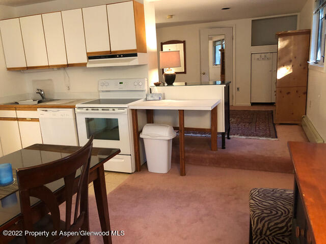 611 Fred Lane Aspen CO 81611