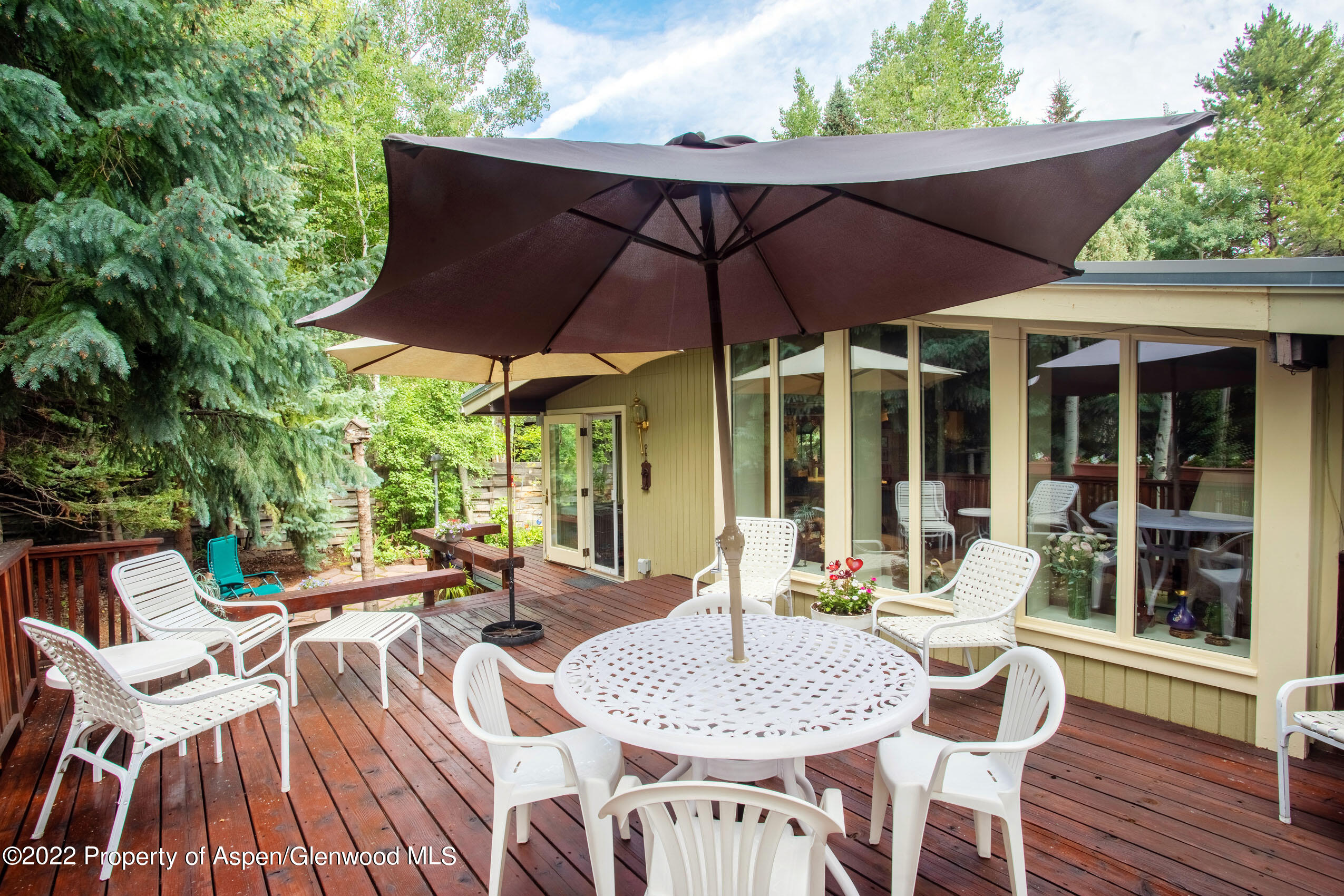 611 Fred Lane Aspen CO 81611