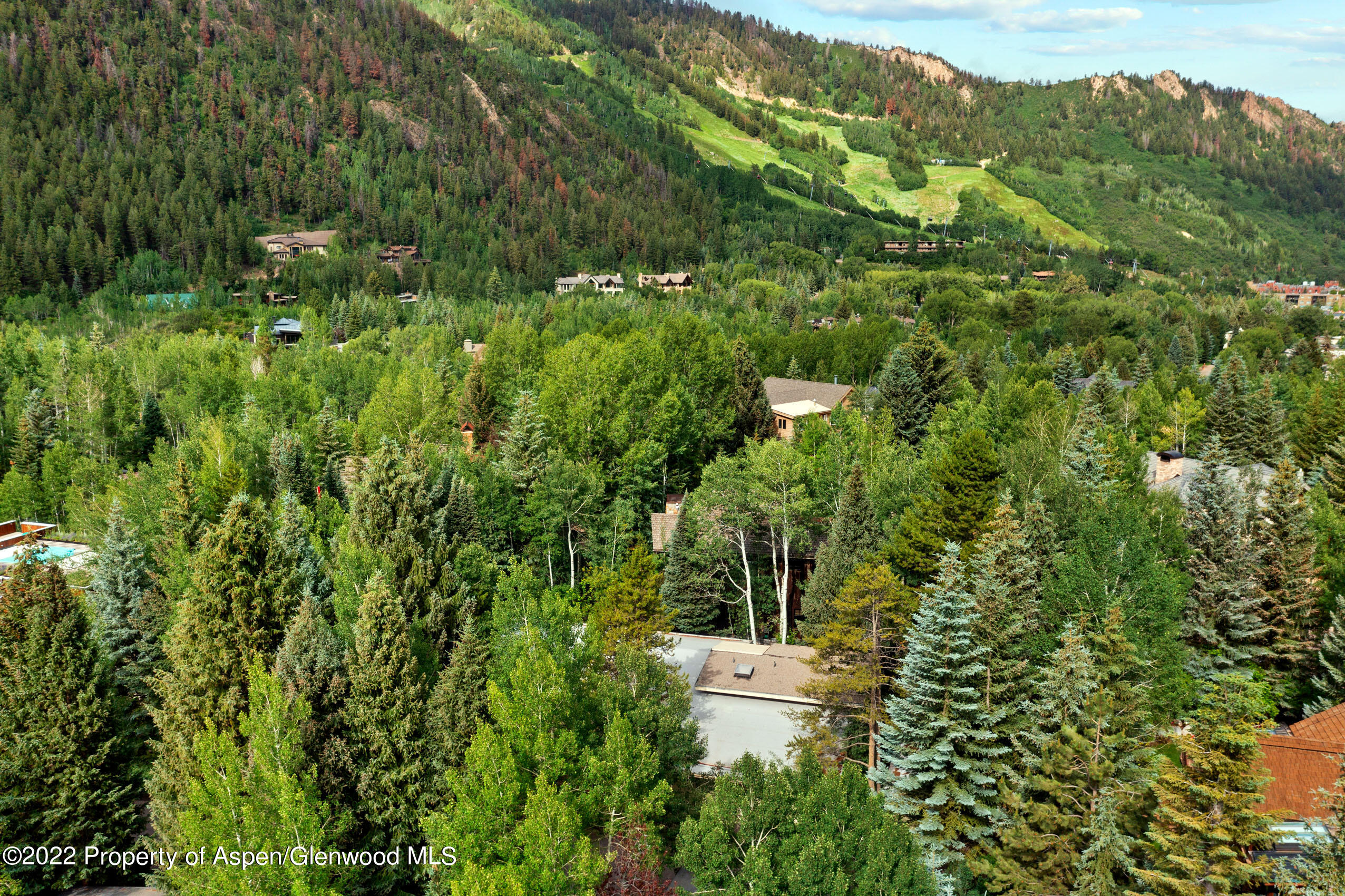 611 Fred Lane Aspen CO 81611