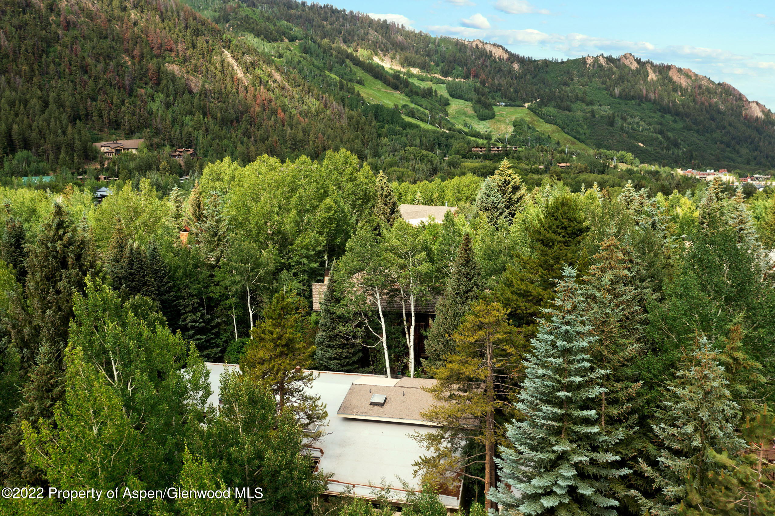 611 Fred Lane Aspen CO 81611