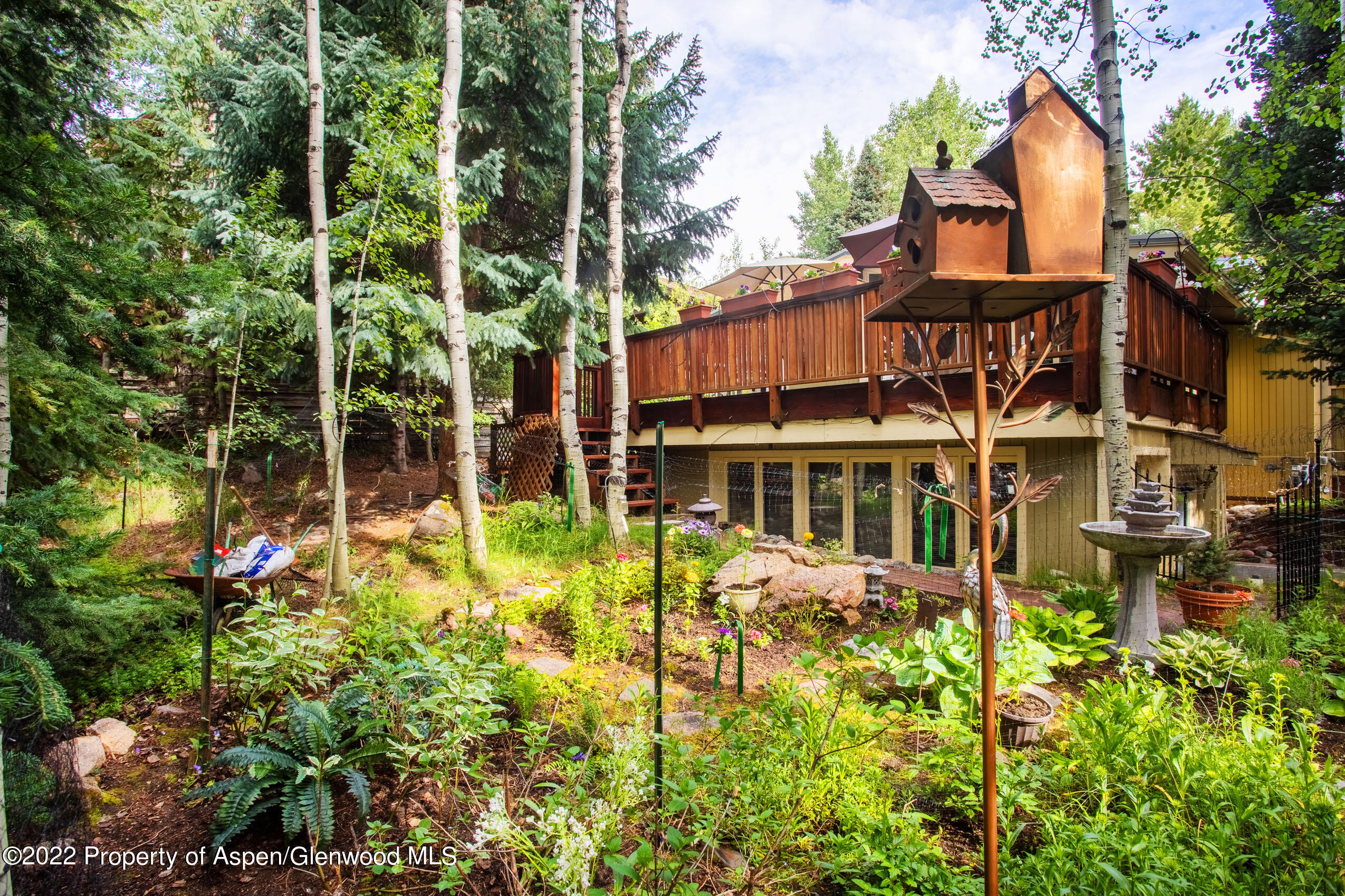 611 Fred Lane Aspen CO 81611