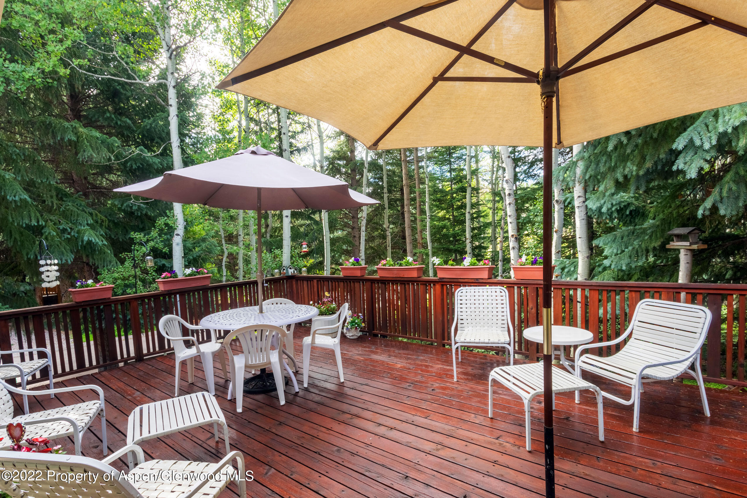 611 Fred Lane Aspen CO 81611
