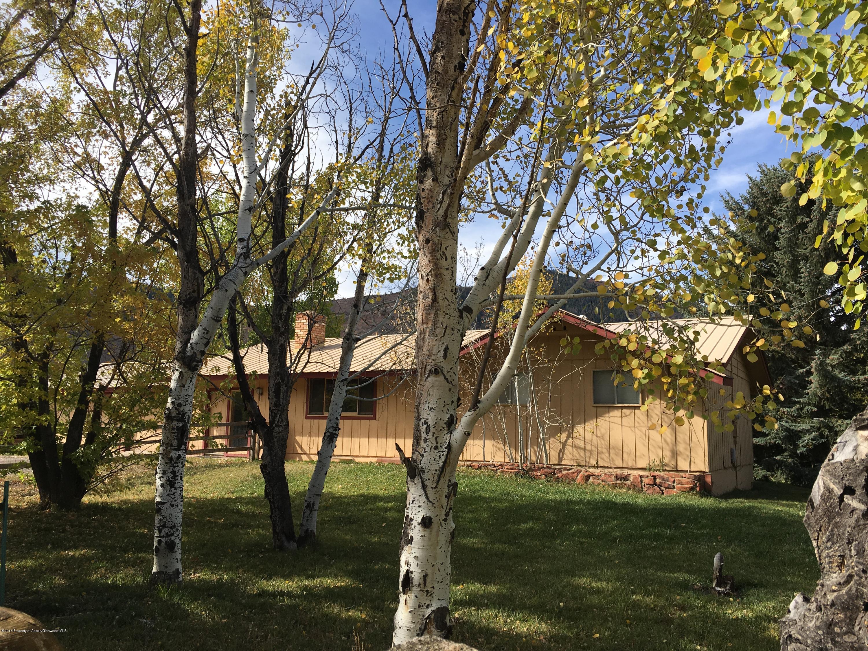 332 Horseshoe Drive Basalt CO 81621