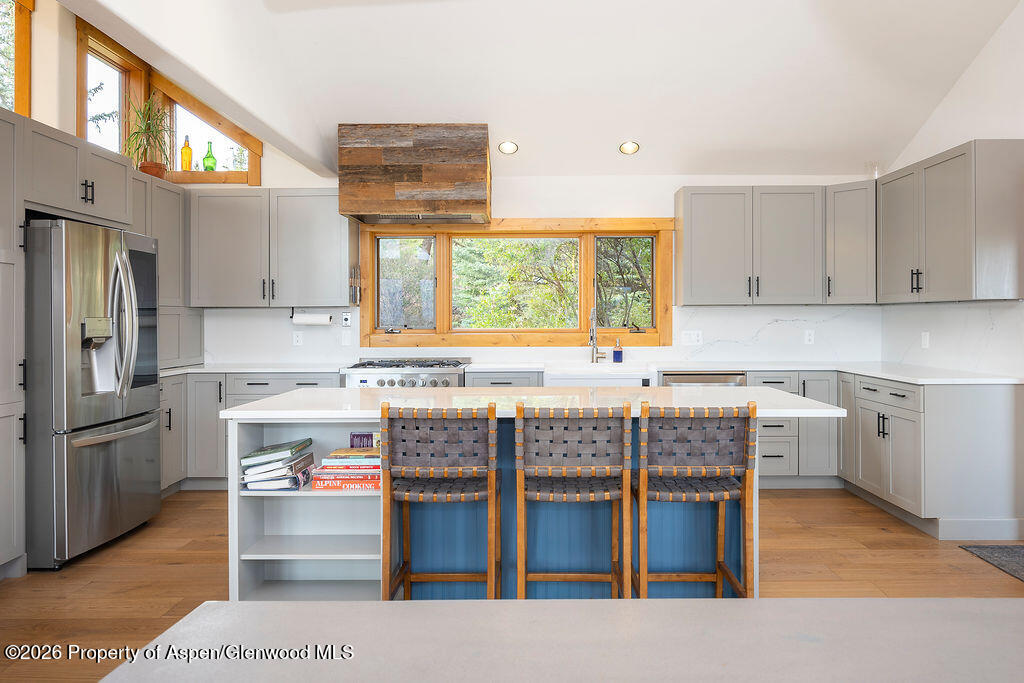 151 Sam Grange Court Carbondale CO 81623