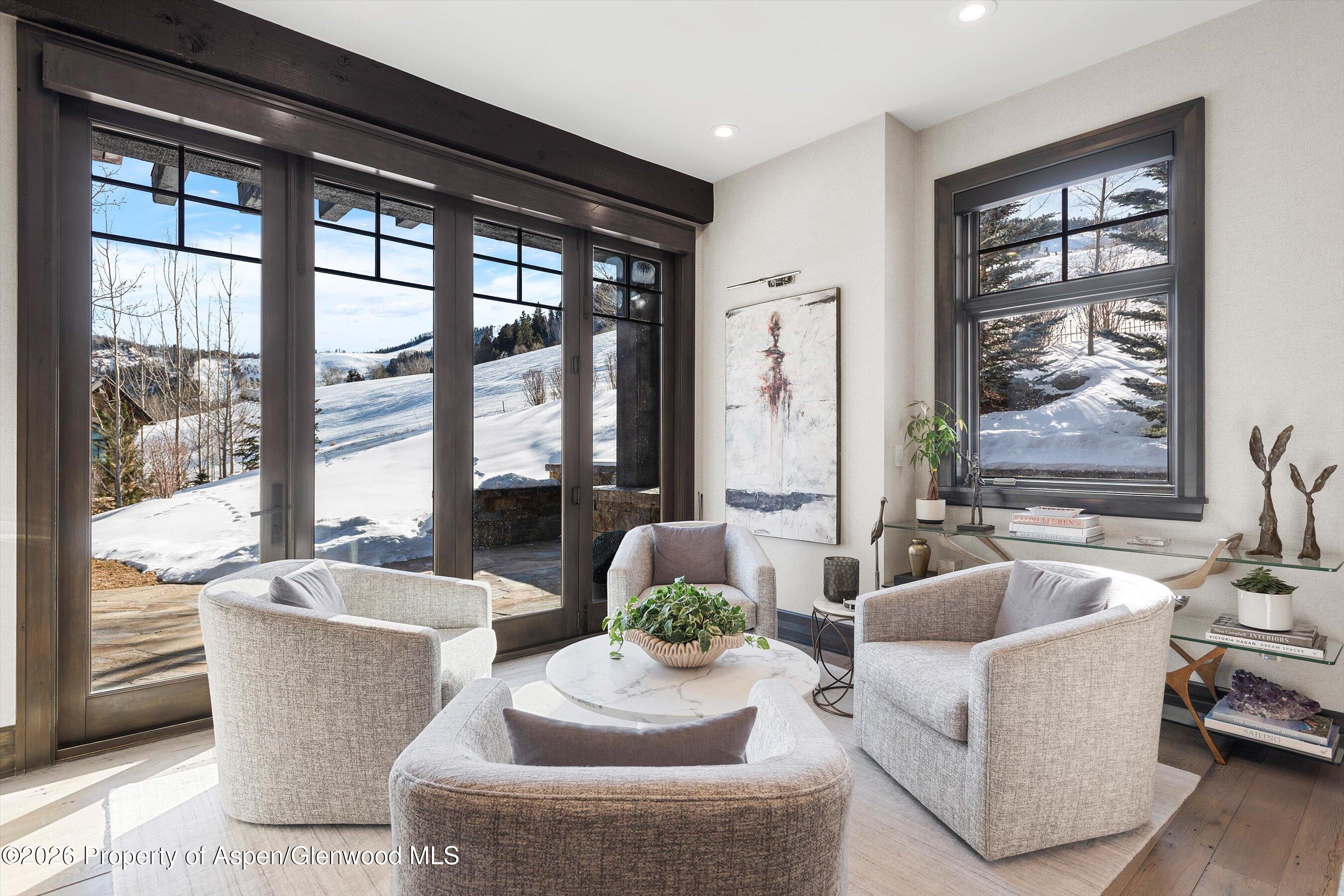 15 S Willow Court Aspen CO 81611