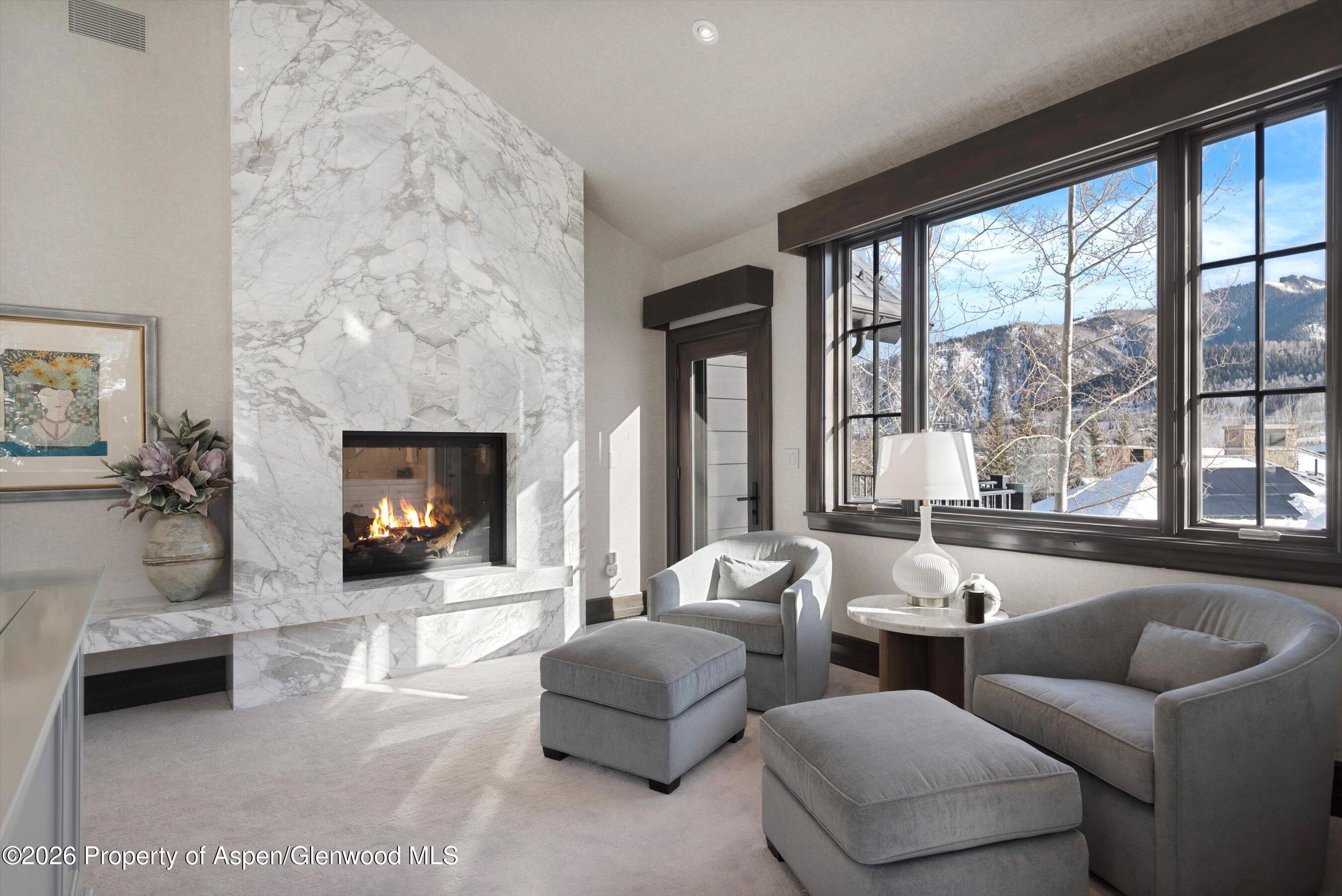 15 S Willow Court Aspen CO 81611