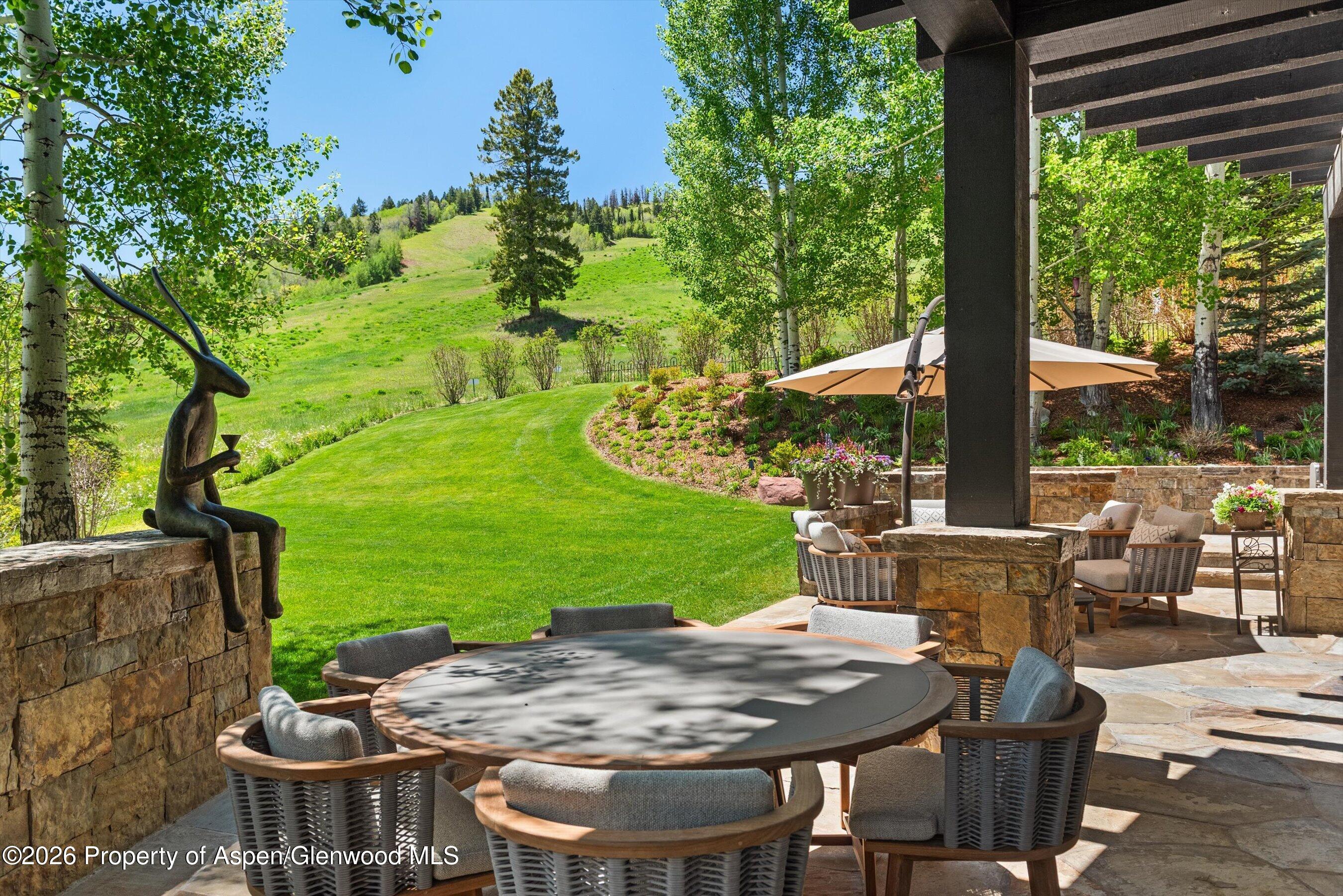 15 S Willow Court Aspen CO 81611