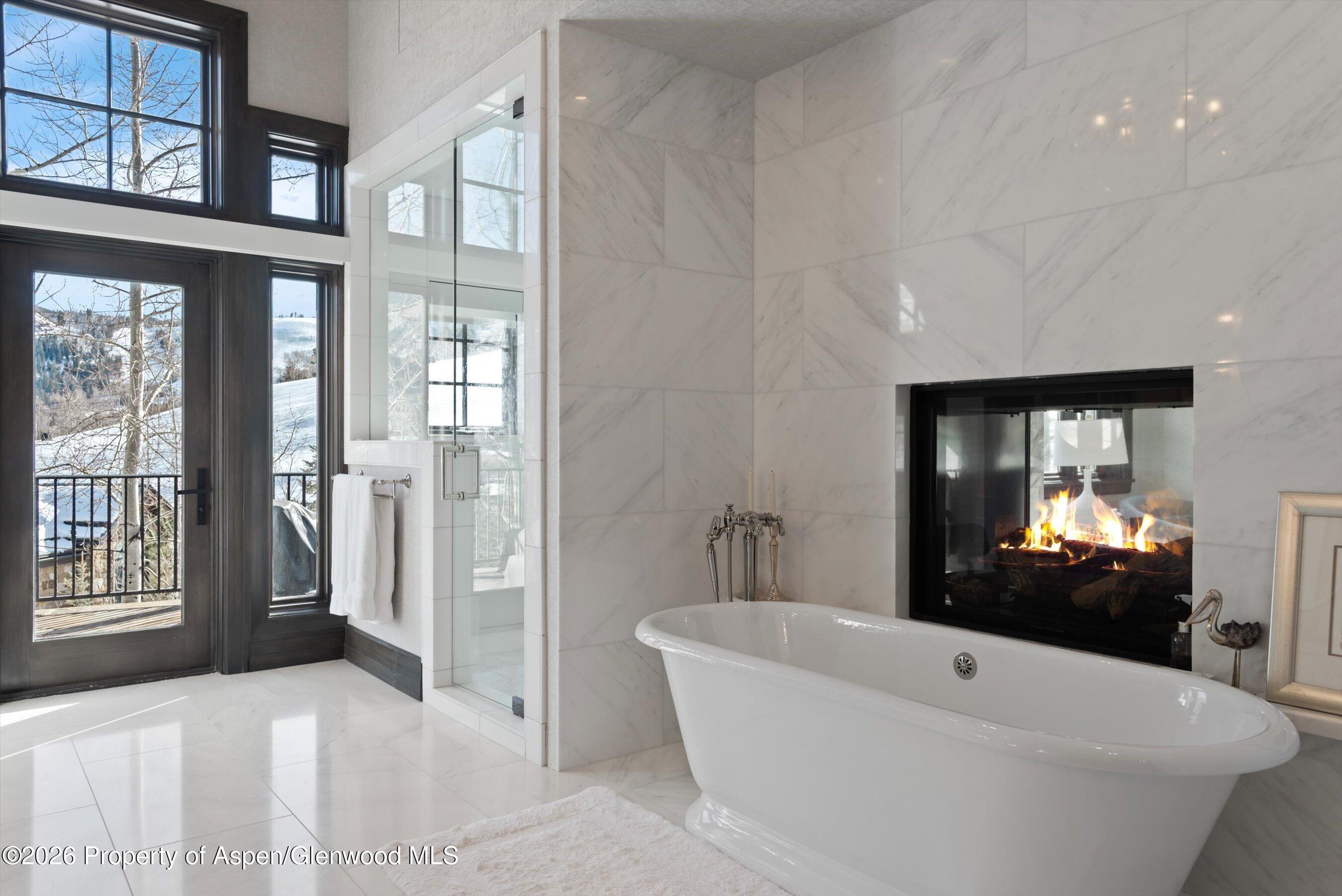 15 S Willow Court Aspen CO 81611