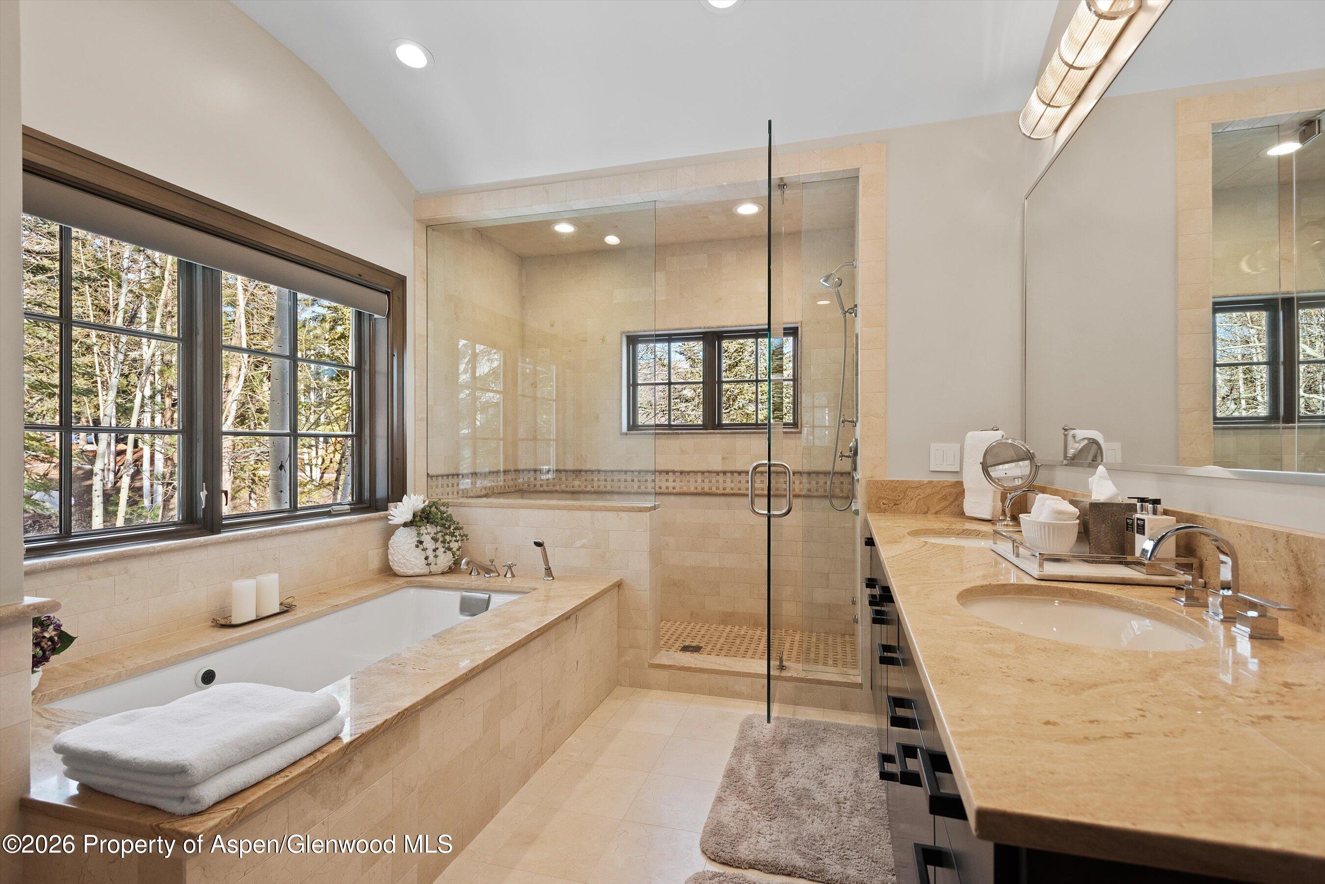 15 S Willow Court Aspen CO 81611
