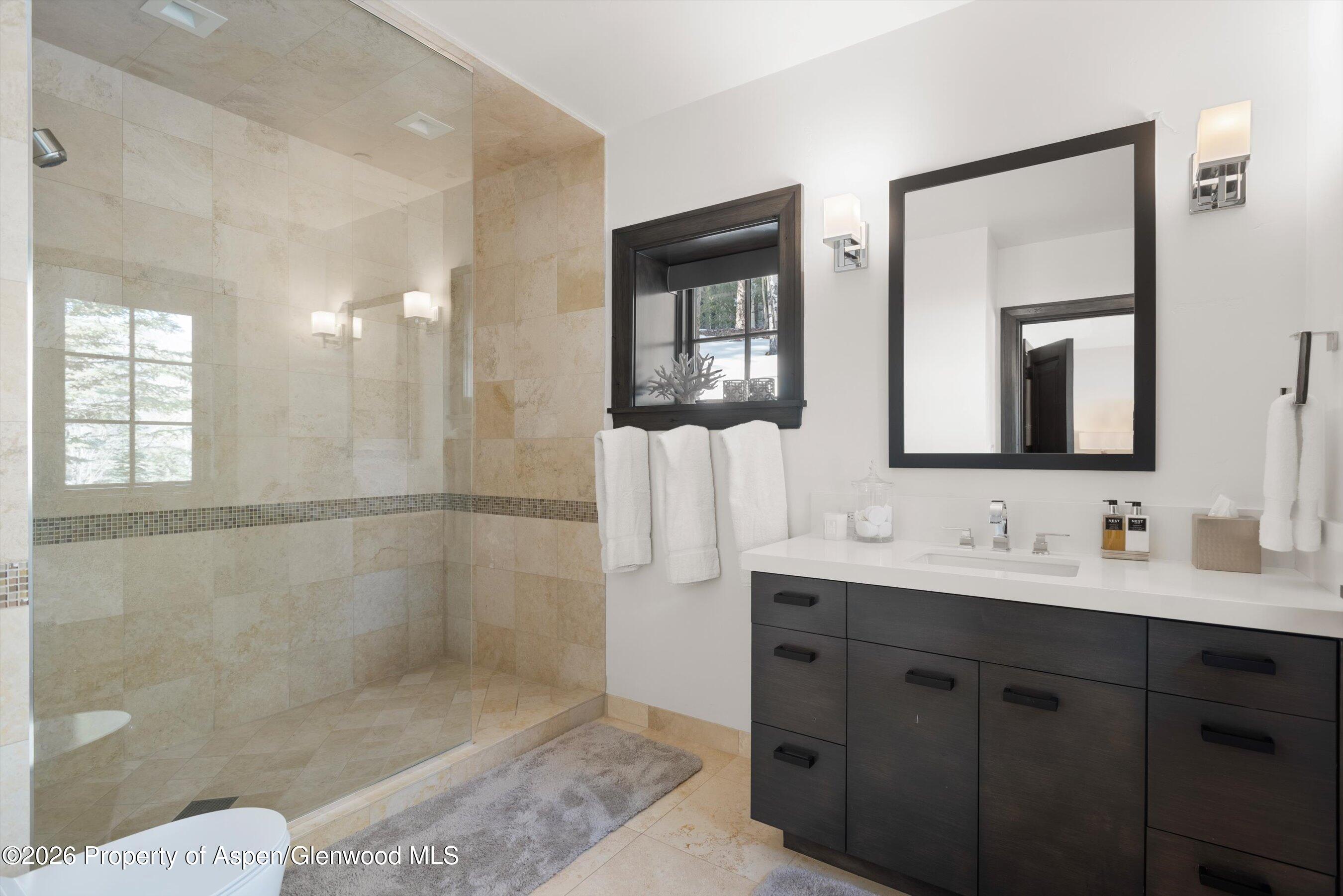 15 S Willow Court Aspen CO 81611