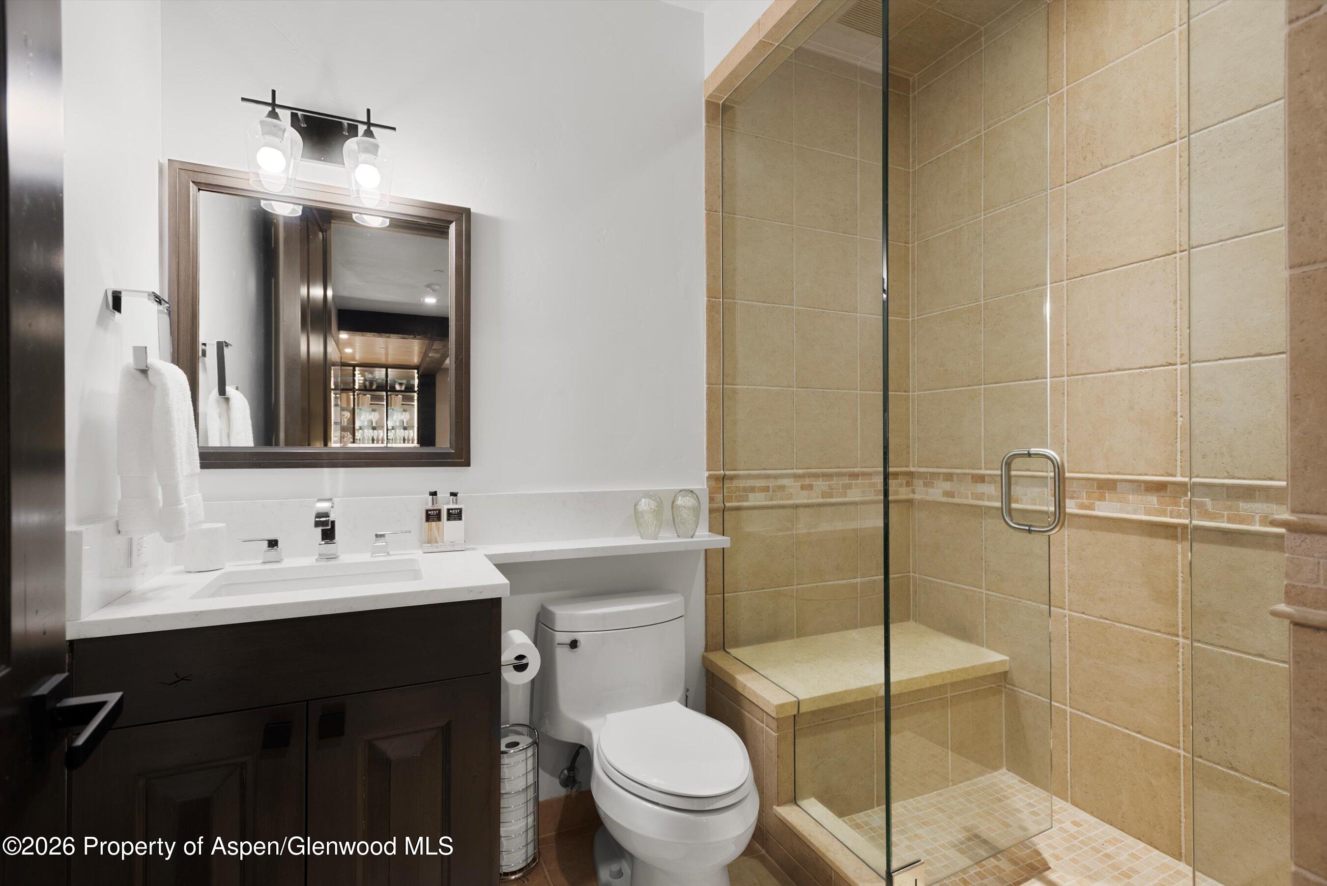 15 S Willow Court Aspen CO 81611
