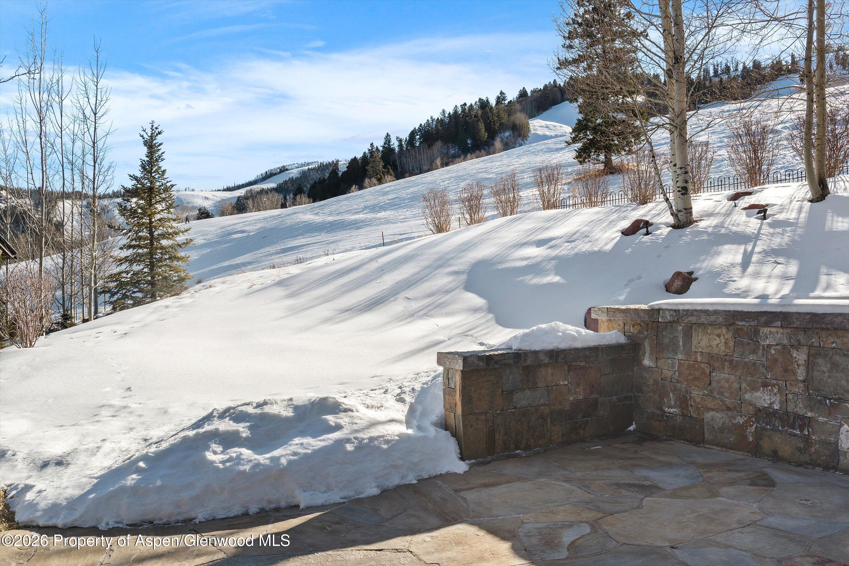15 S Willow Court Aspen CO 81611