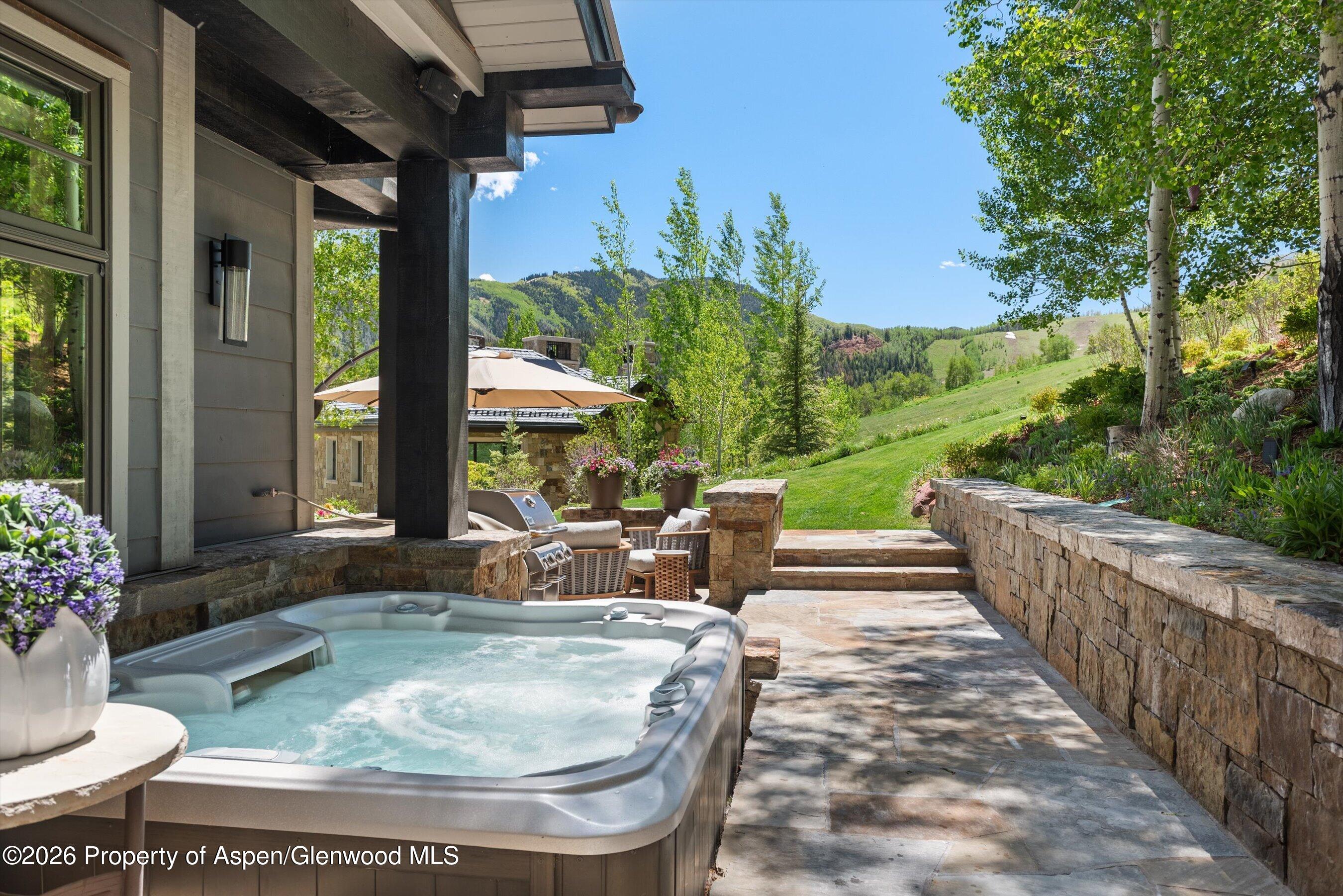 15 S Willow Court Aspen CO 81611