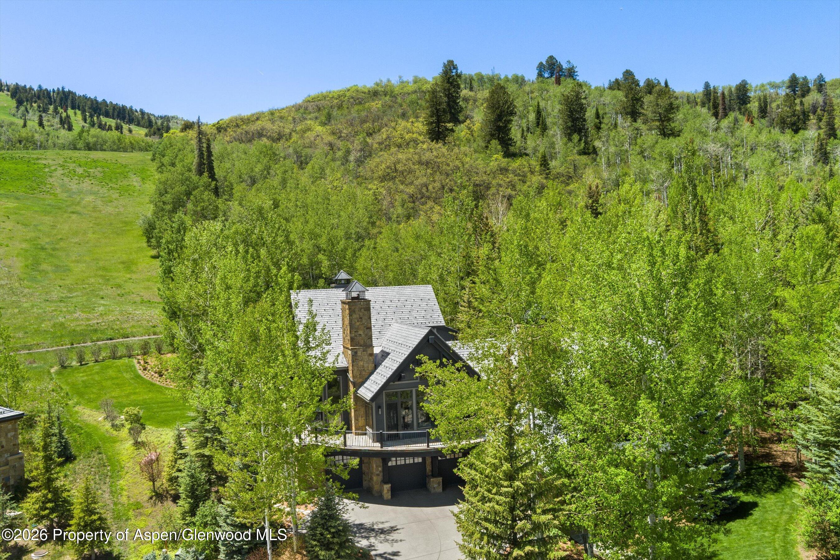 15 S Willow Court Aspen CO 81611