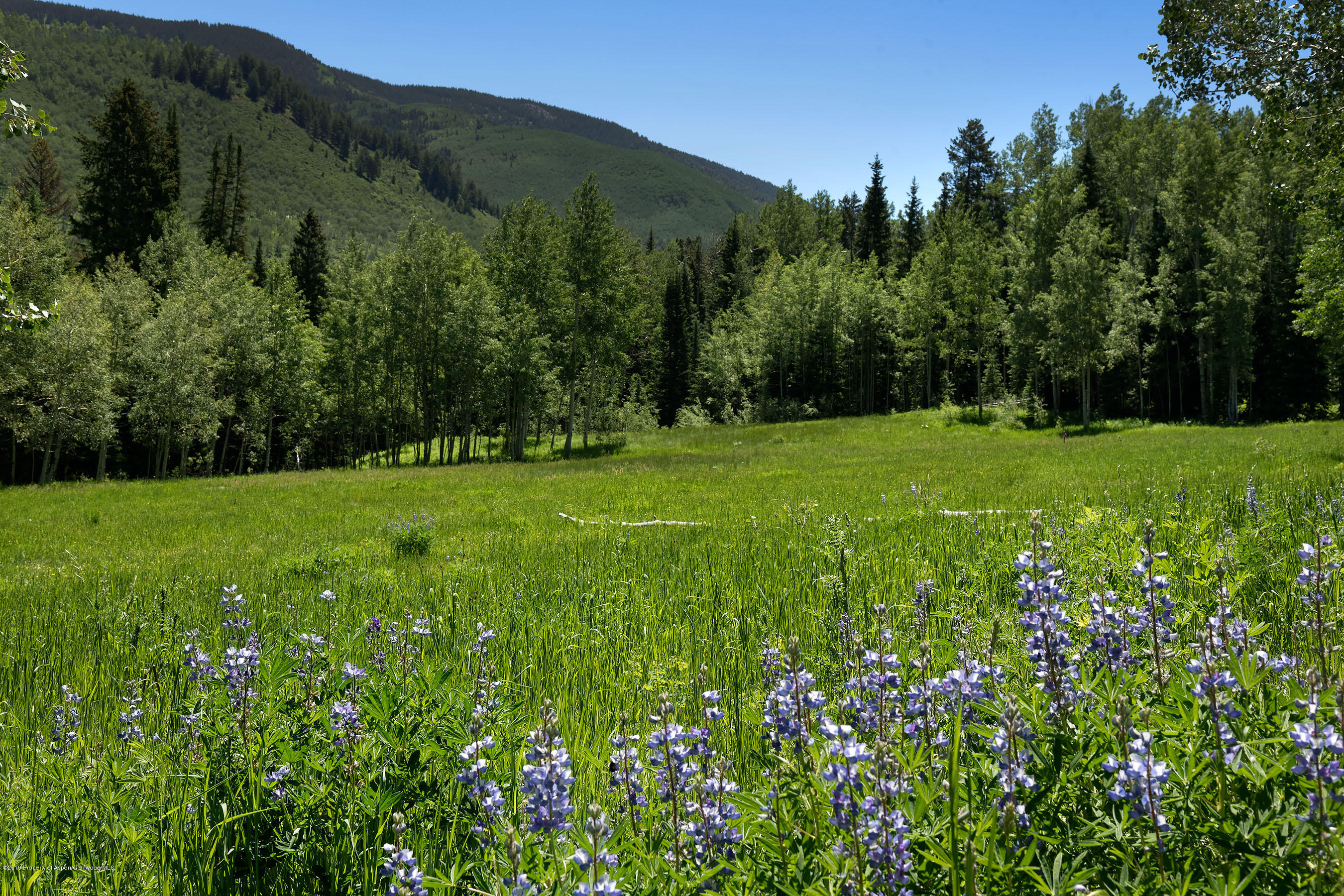 5387 Castle Creek Road Aspen CO 81611