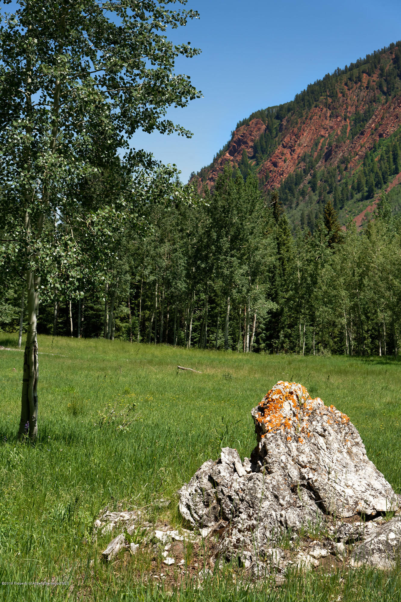 5387 Castle Creek Road Aspen CO 81611