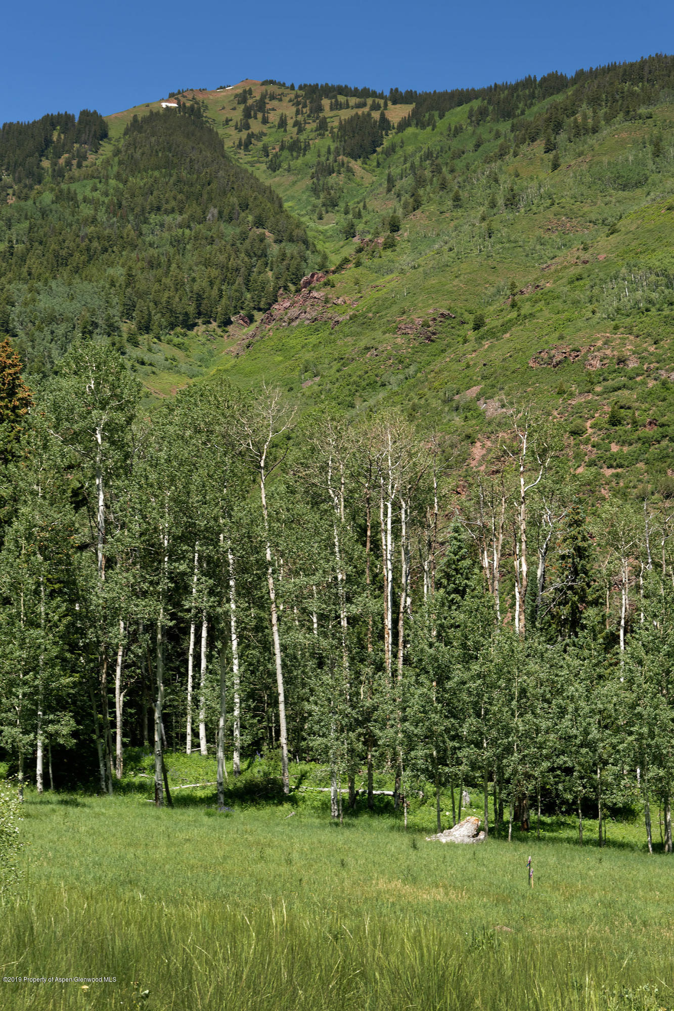 5387 Castle Creek Road Aspen CO 81611