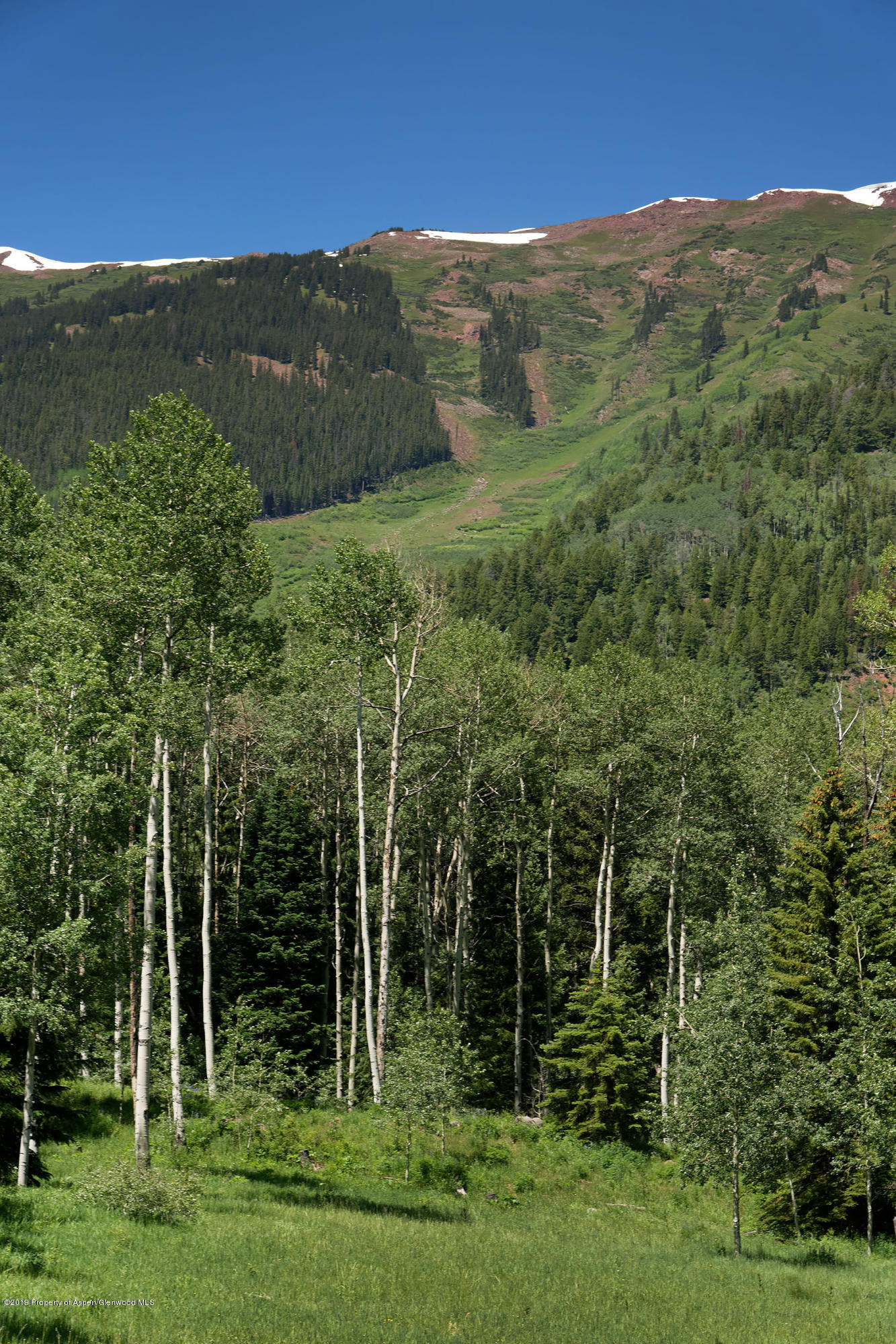 5387 Castle Creek Road Aspen CO 81611