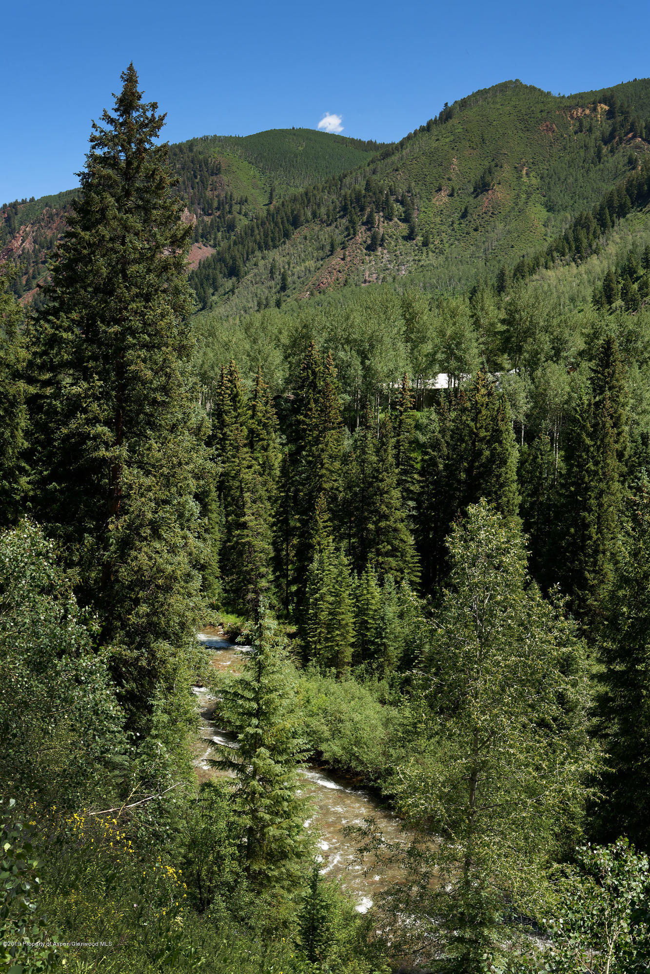 5387 Castle Creek Road Aspen CO 81611
