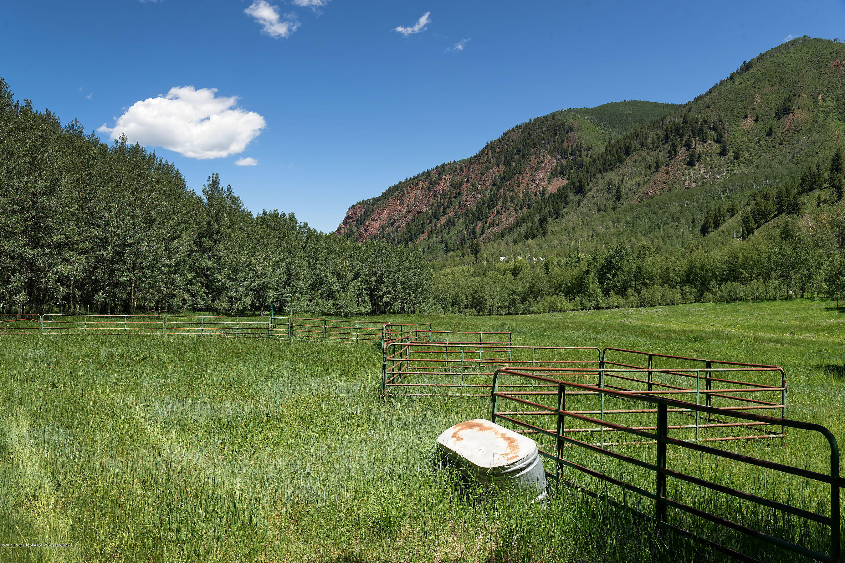 5387 Castle Creek Road Aspen CO 81611