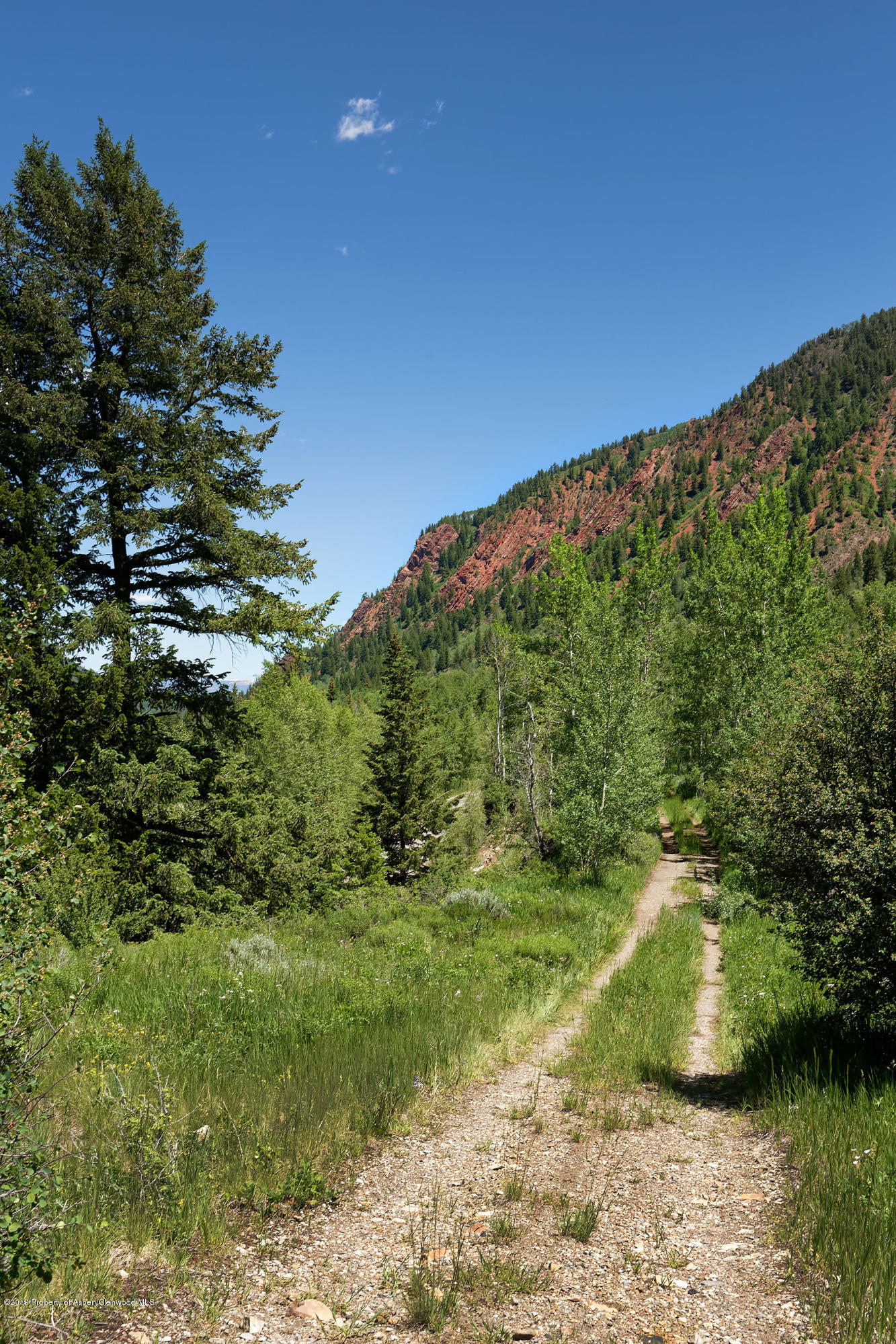 5387 Castle Creek Road Aspen CO 81611