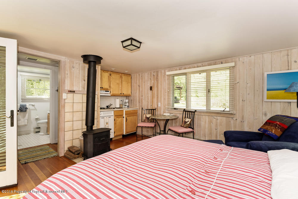 5387 Castle Creek Road Aspen CO 81611