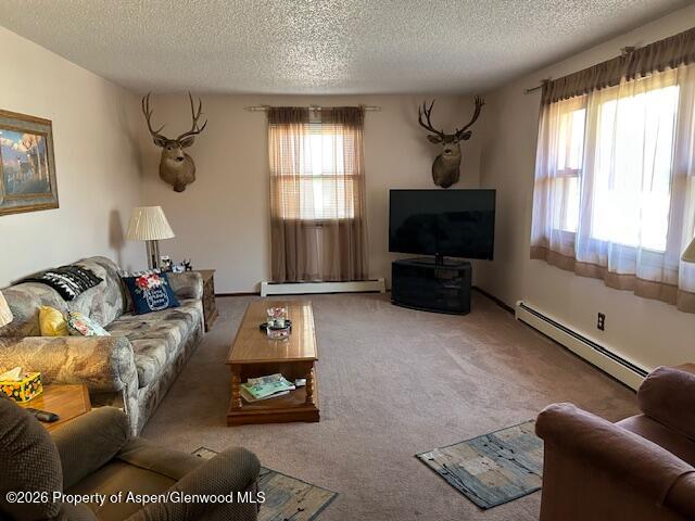 2976 Pinon Circle Craig CO 81625