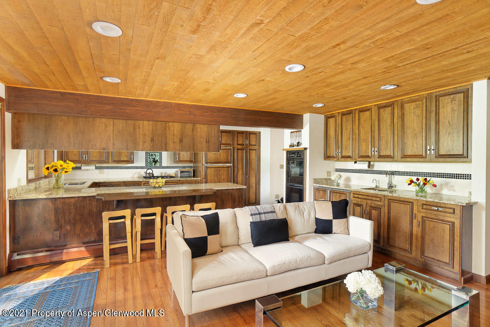 450 W Tiehack Road Aspen CO 81611