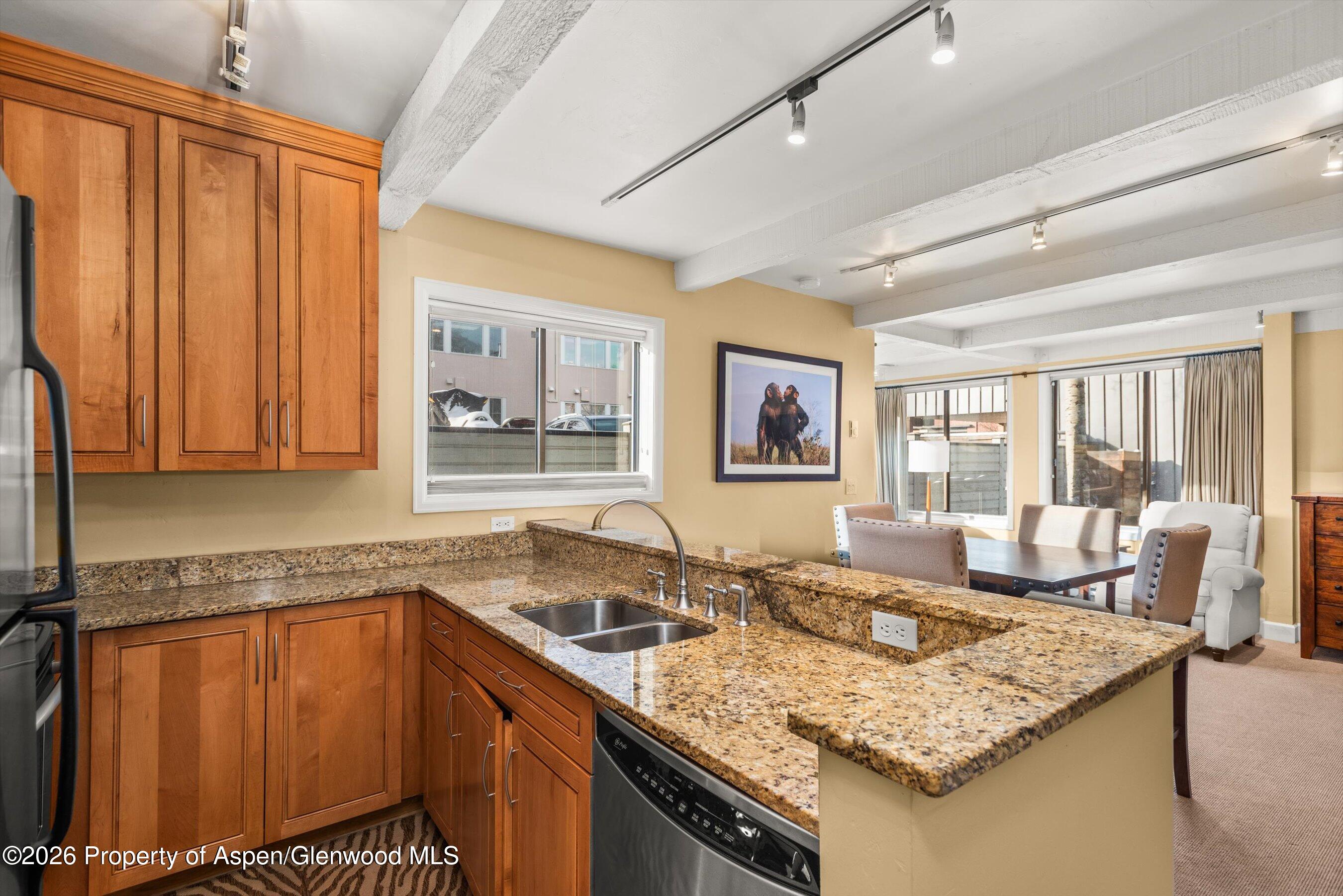 Aspen CO, 709 E Main Street, Unit 201