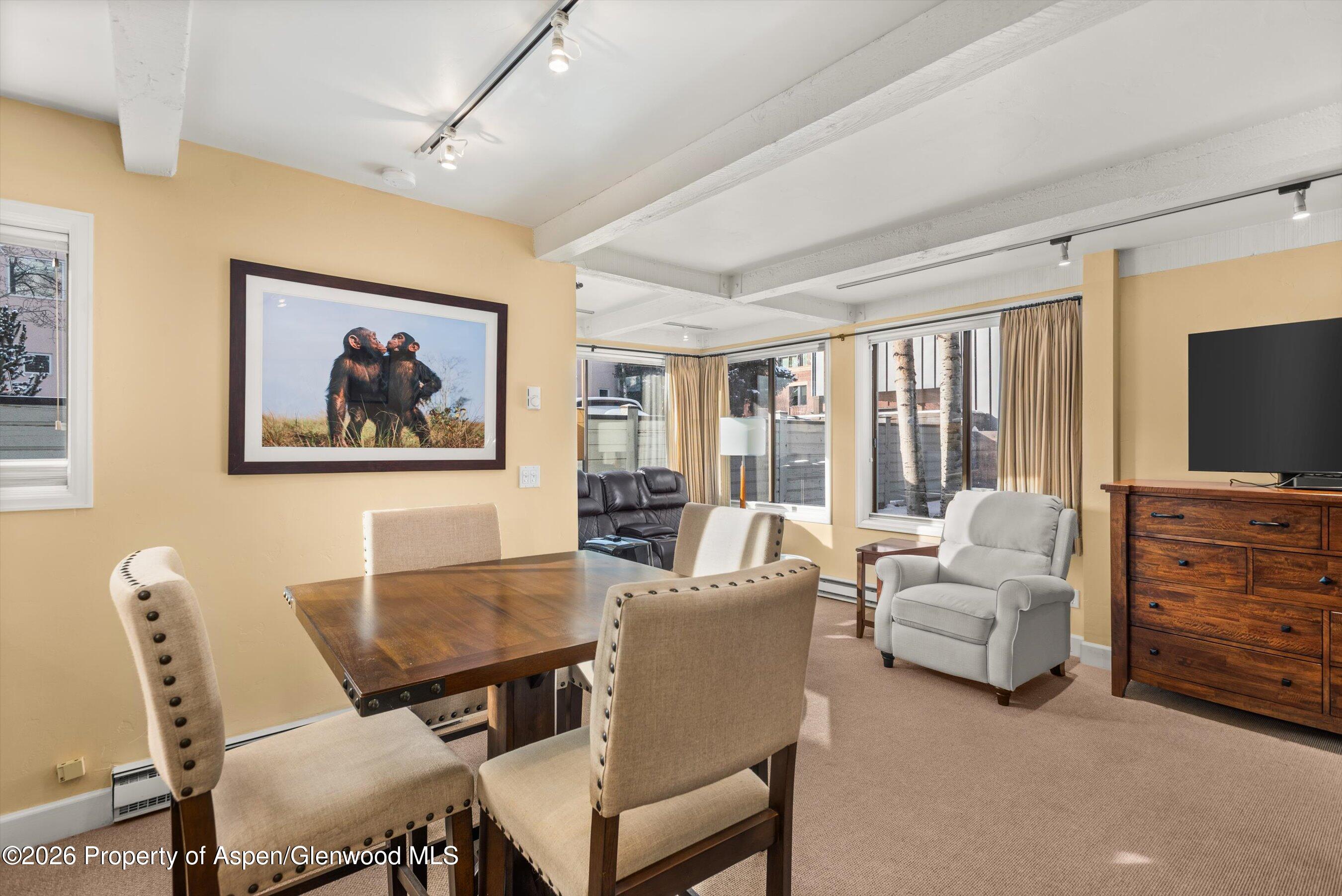 709 E Main Street Aspen CO 81611
