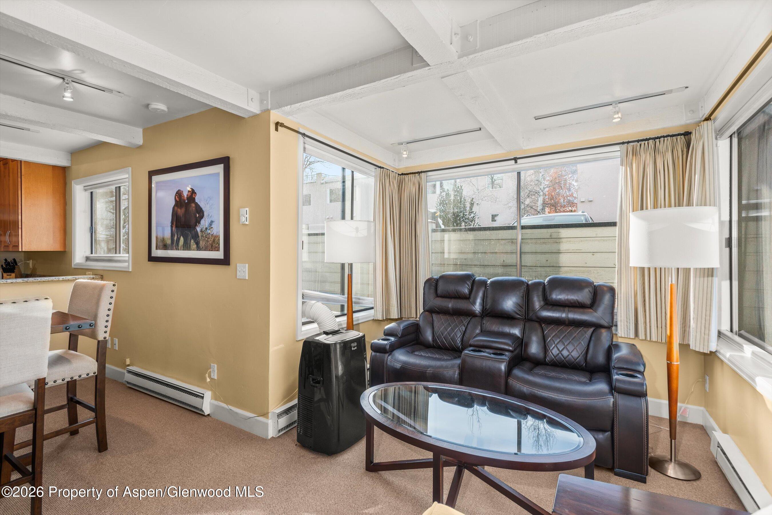 709 E Main Street Aspen CO 81611