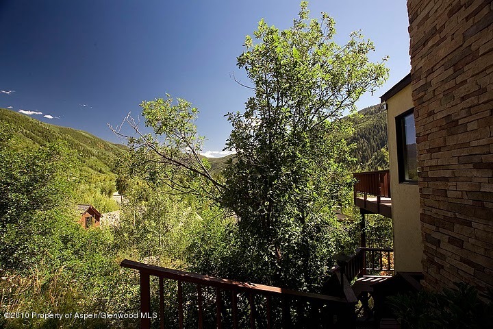 150 Roaring Fork Drive Aspen CO 81611
