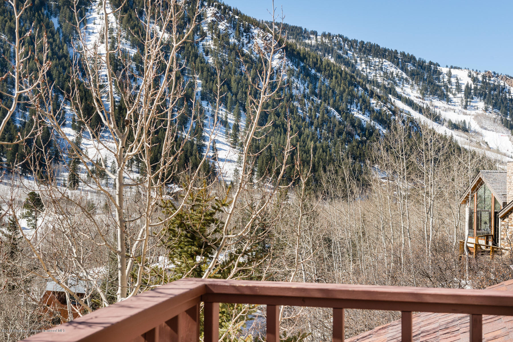 150 Roaring Fork Drive Aspen CO 81611