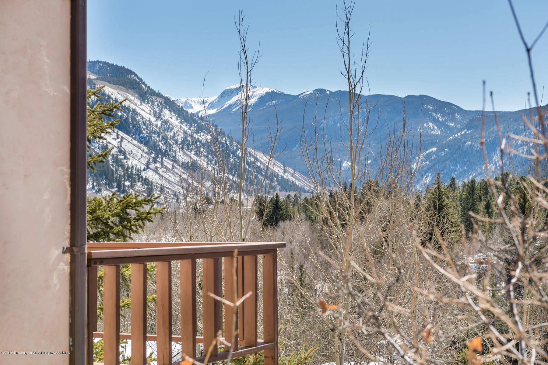 150 Roaring Fork Drive Aspen CO 81611