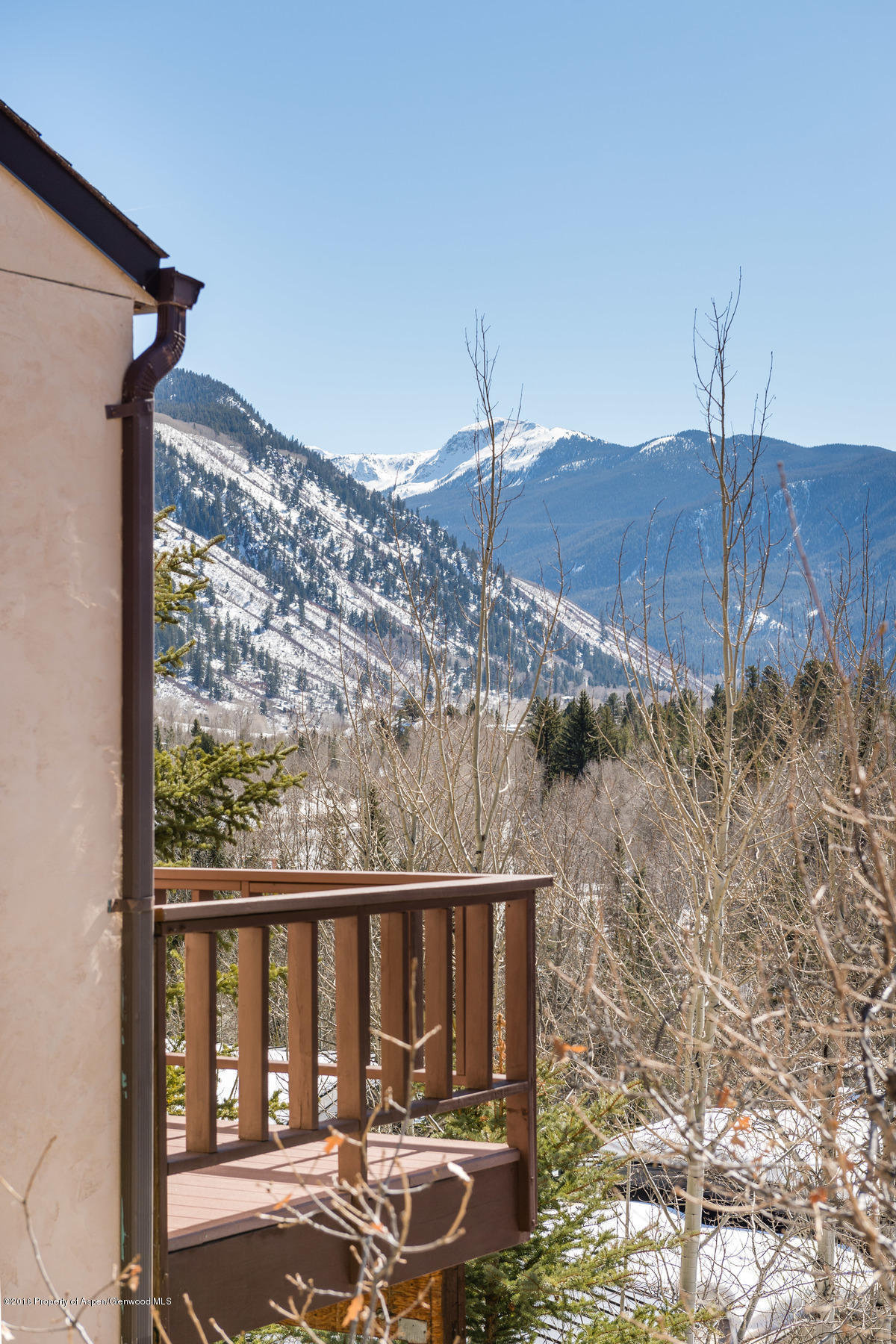 150 Roaring Fork Drive Aspen CO 81611