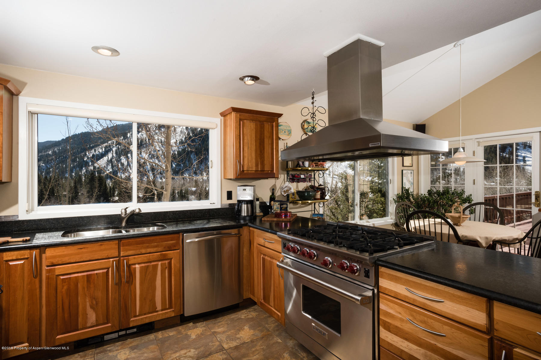 150 Roaring Fork Drive Aspen CO 81611