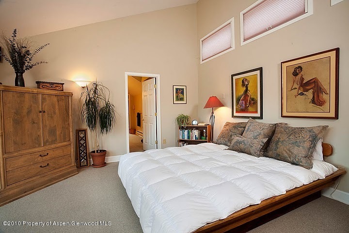 150 Roaring Fork Drive Aspen CO 81611