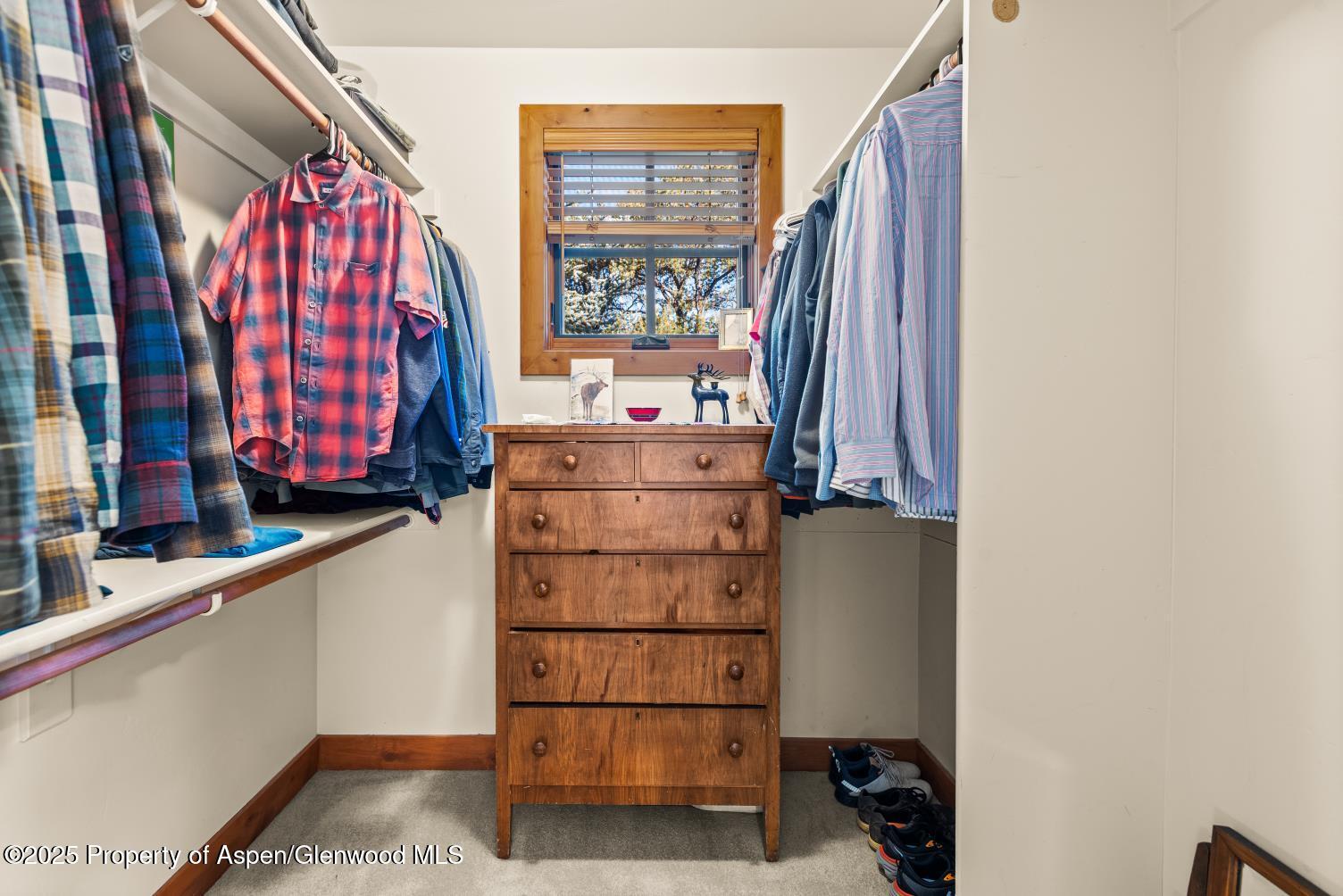 49 Little Wood Lane Glenwood Springs CO 81601