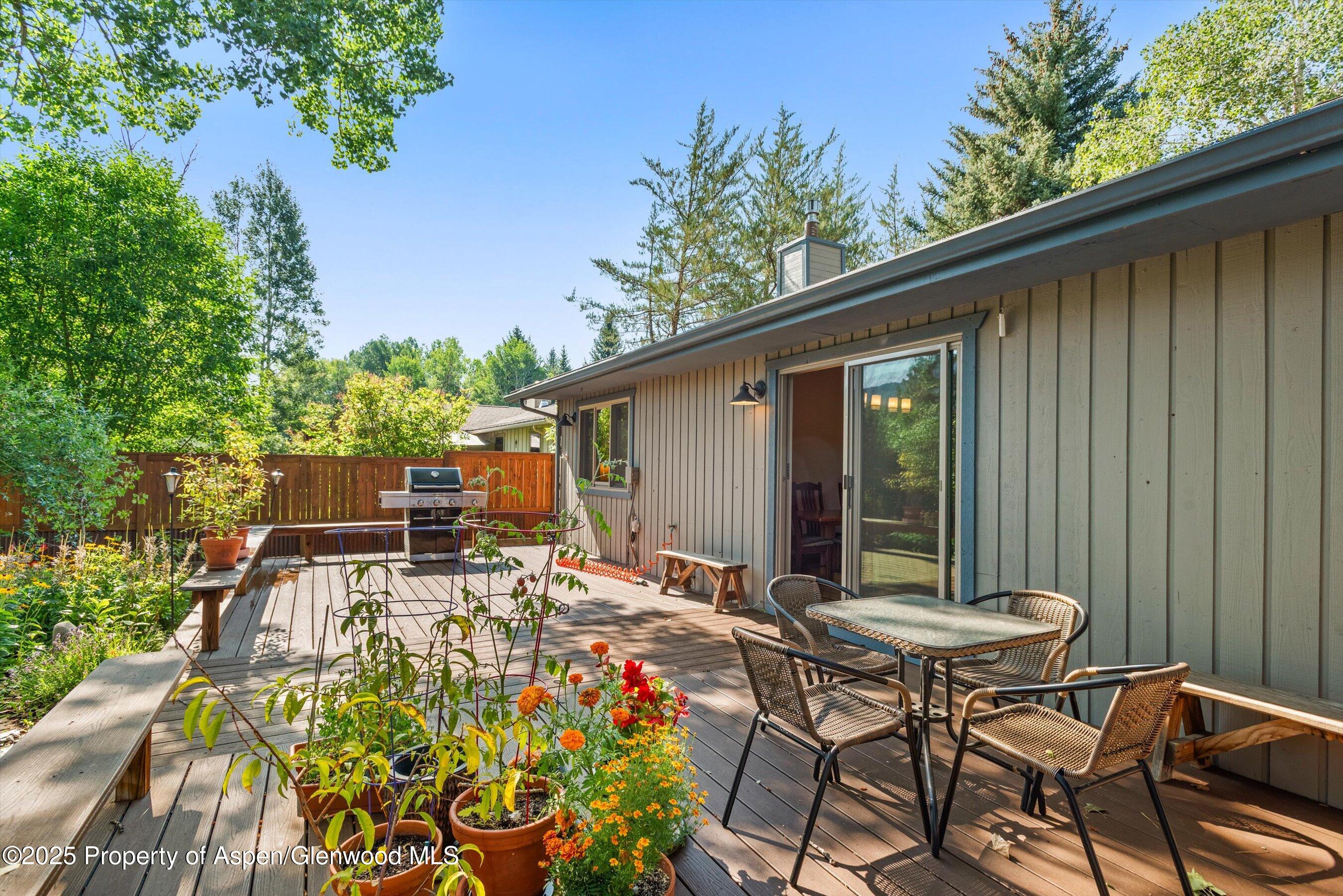 395 Stagecoach Lane Carbondale CO 81623