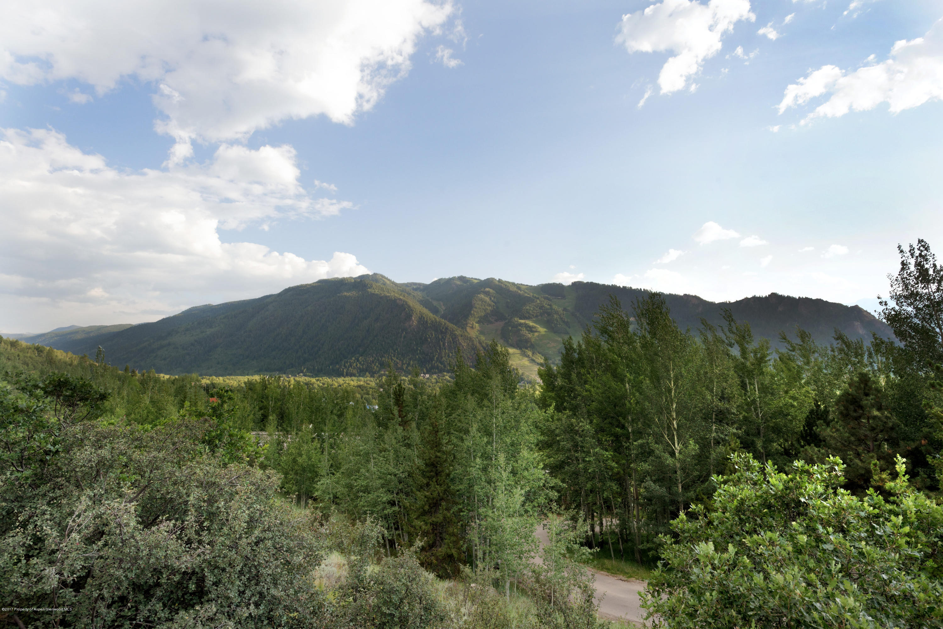 737 N Spruce Street Aspen CO 81611