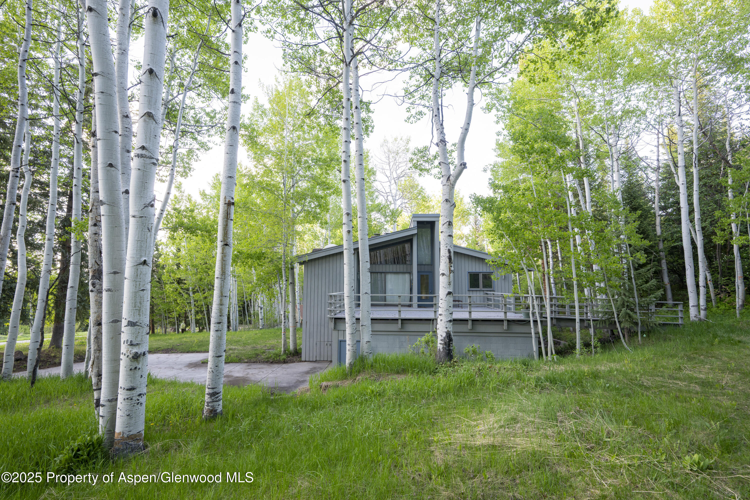 476 Glen Eagles Drive Aspen CO 81611