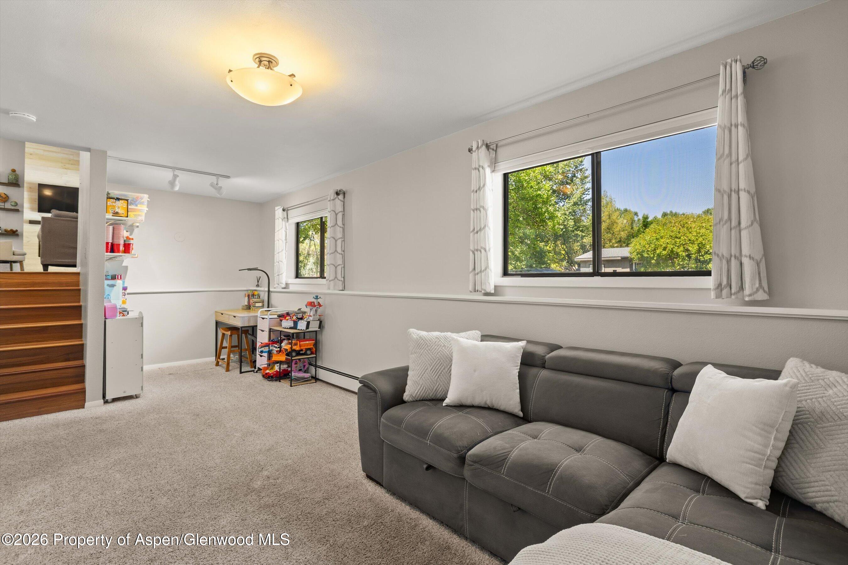115 Badger Road Carbondale CO 81623