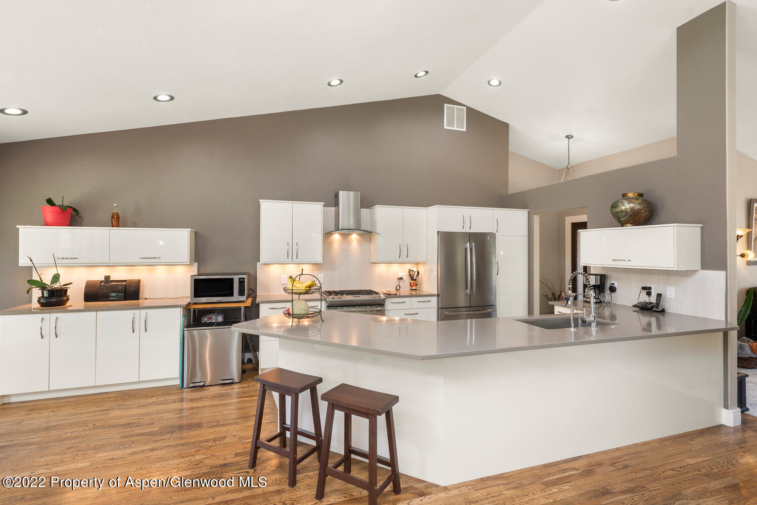 100 Village Lane Carbondale CO 81623