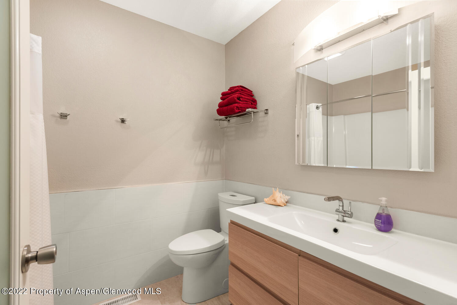 100 Village Lane Carbondale CO 81623