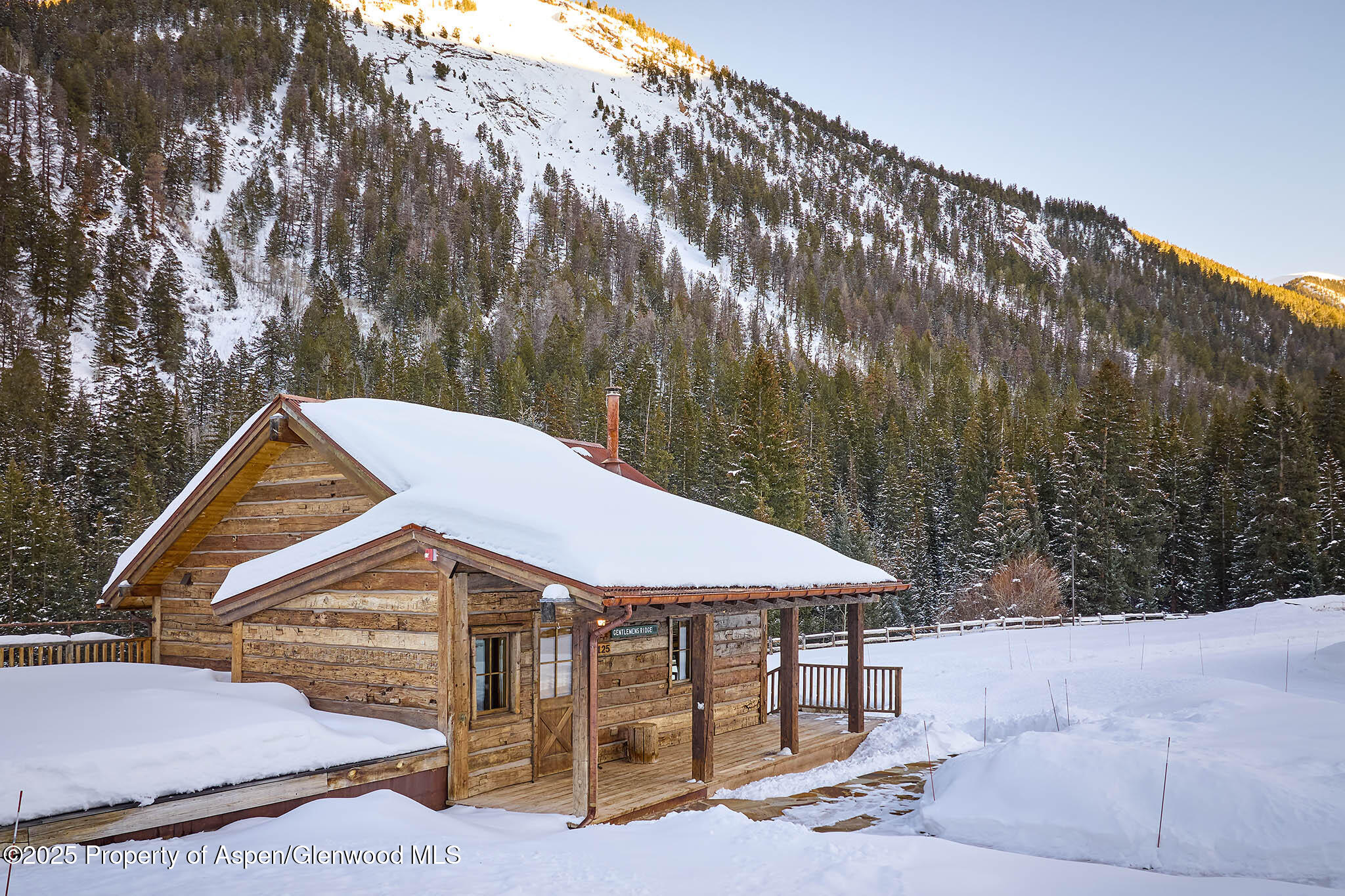 125 Rooney Circle Aspen CO 81611