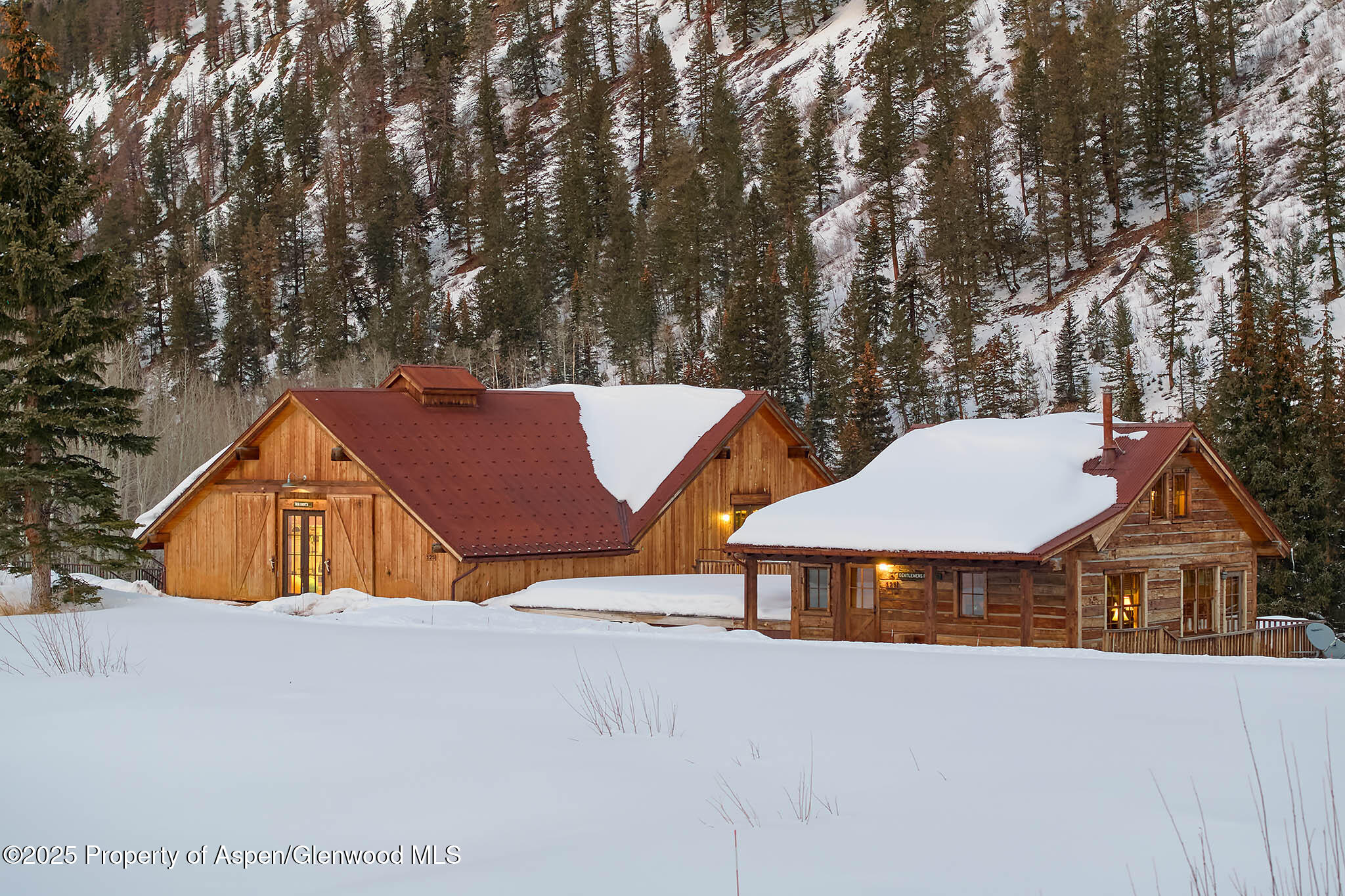 125 Rooney Circle Aspen CO 81611