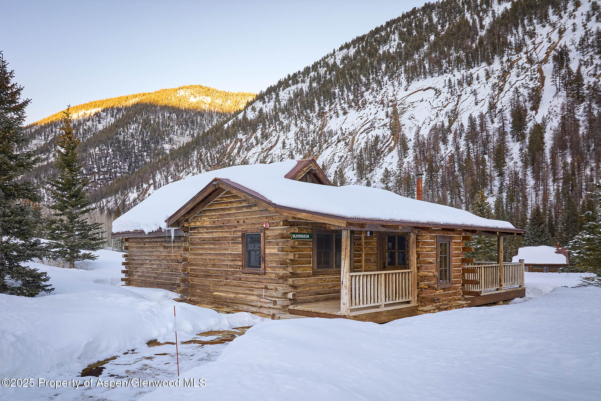 125 Rooney Circle Aspen CO 81611